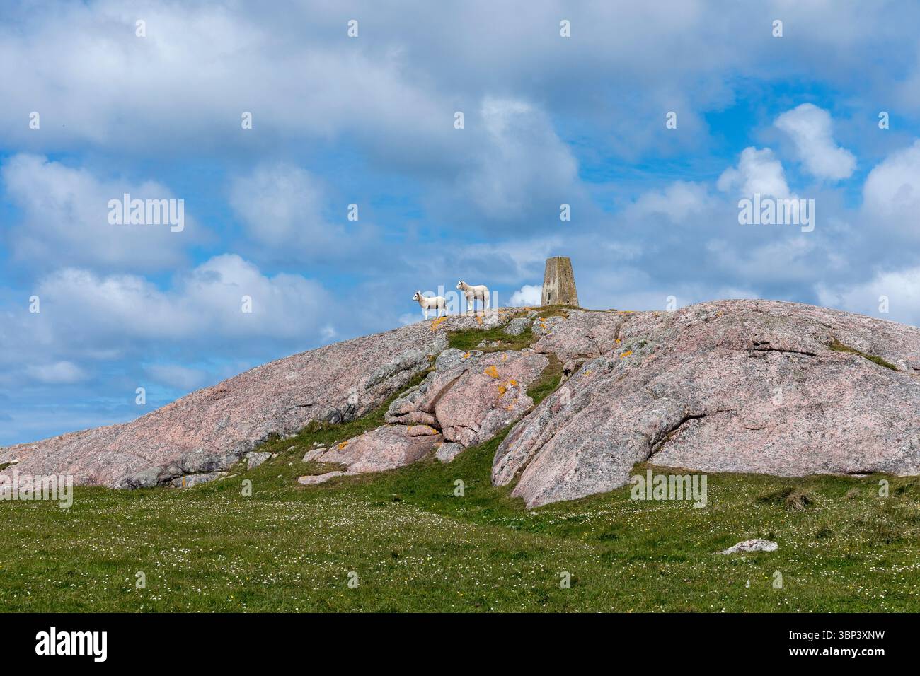 Coll; Calgary Point; Scozia; Regno Unito Foto Stock