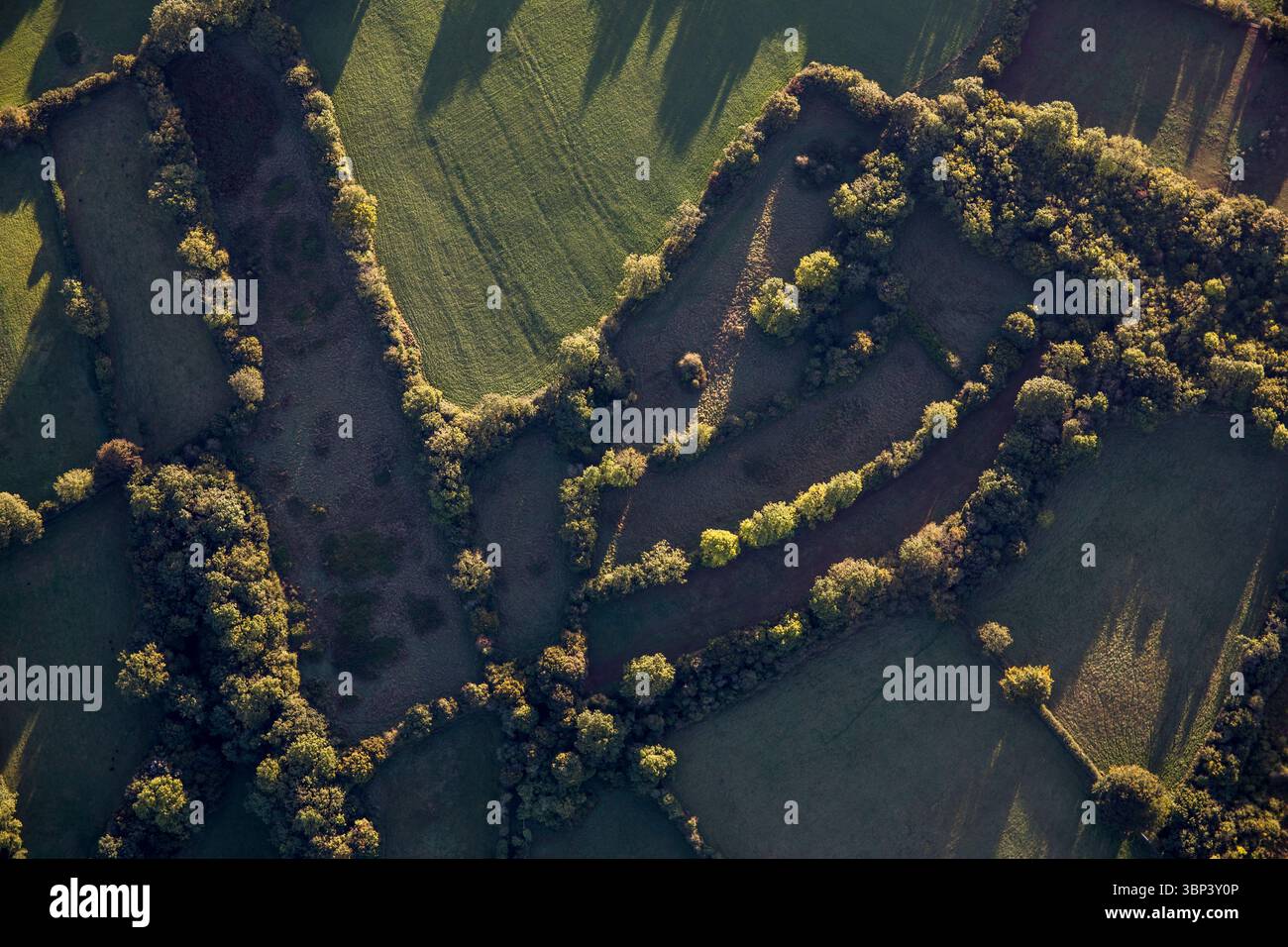 Vista della bollatura ad aria calda; bordi e modelli di campo; Mendips; Somerset; Regno Unito Foto Stock