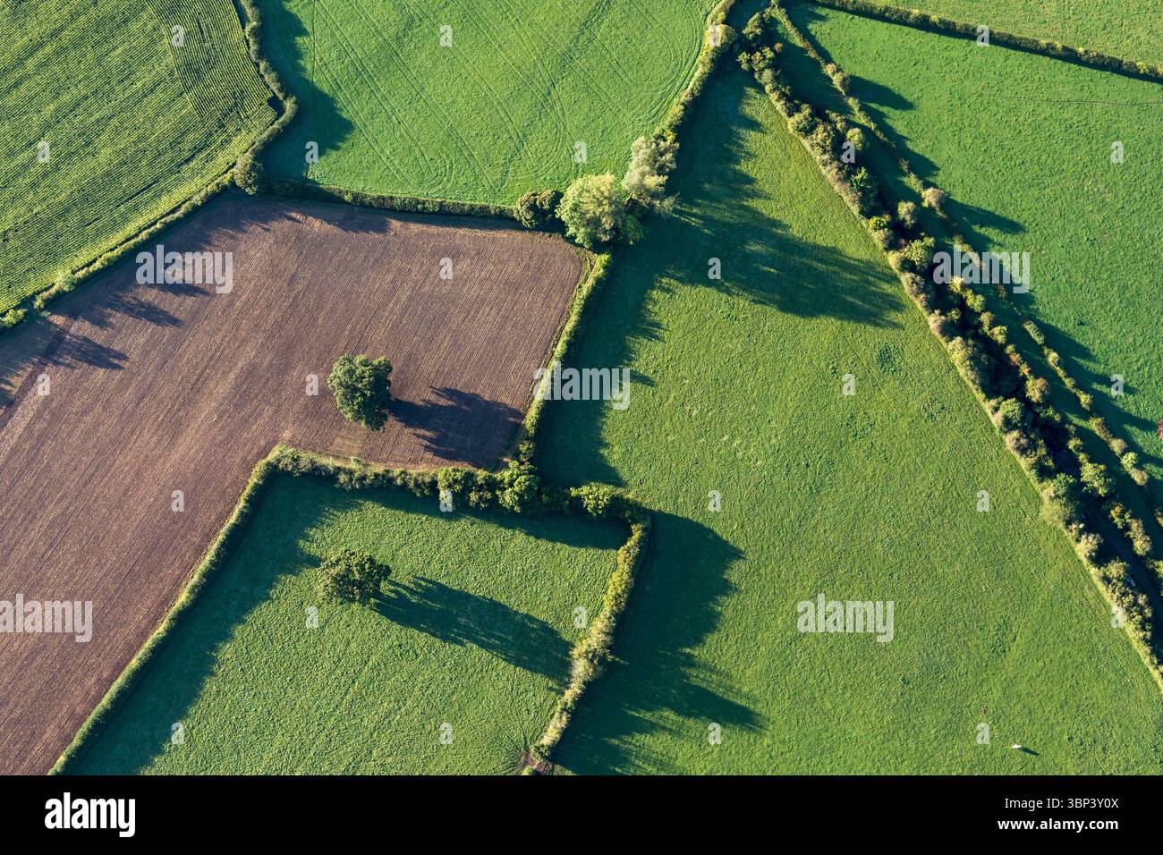 Vista in mongolfiera; Mendips; Somerset; Regno Unito Foto Stock
