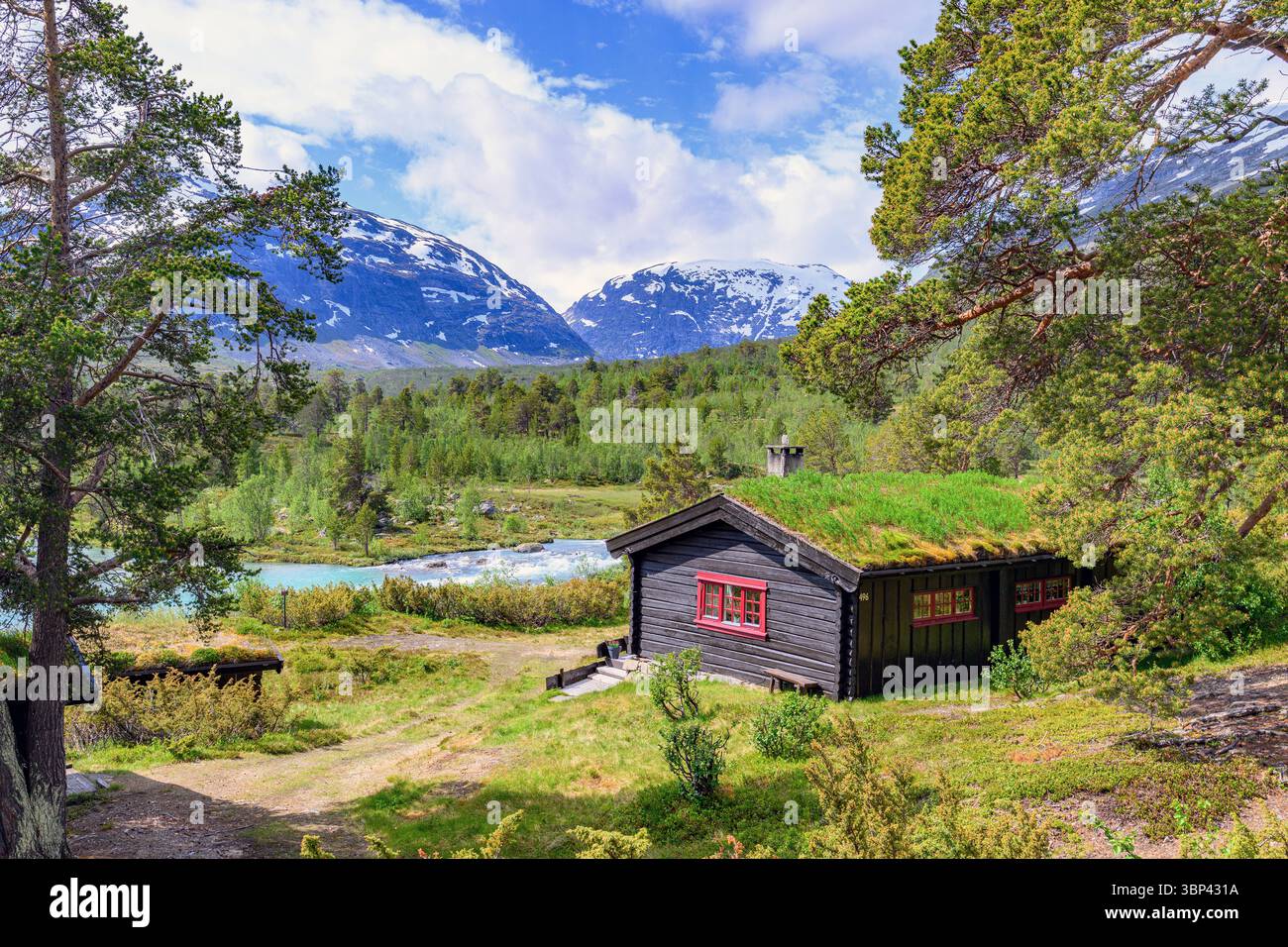 Cabina privata e splendida vista da Mysubyttvegen (Mysubytt Road) verso il Parco Nazionale di Breheimen e la montagna Syrtbyttnosi (Skjåk Innlandet), c Foto Stock Cabina privata e splendida vista da Mysubyttvegen (Mysubytt Road) verso il Parco Nazionale di Breheimen e la montagna Syrtbyttnosi (Skjåk Innlandet), c Foto Stock