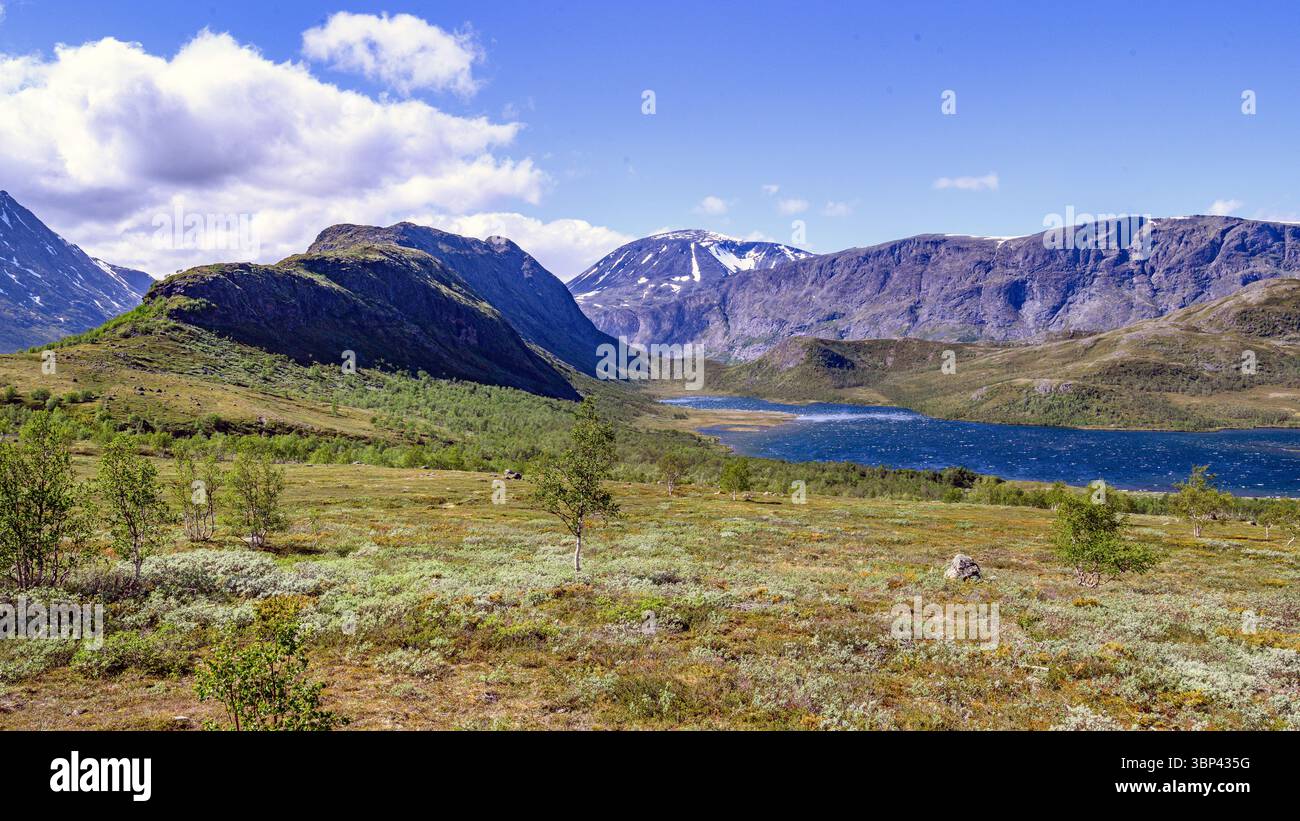 Le catene montuose Knutshøe (1517 m, in primo piano) e Besseggen (1634 m) e Veslfjellet (1722 m) dietro nel Parco Nazionale Jotunheimen (Vågå, Innlande Foto Stock