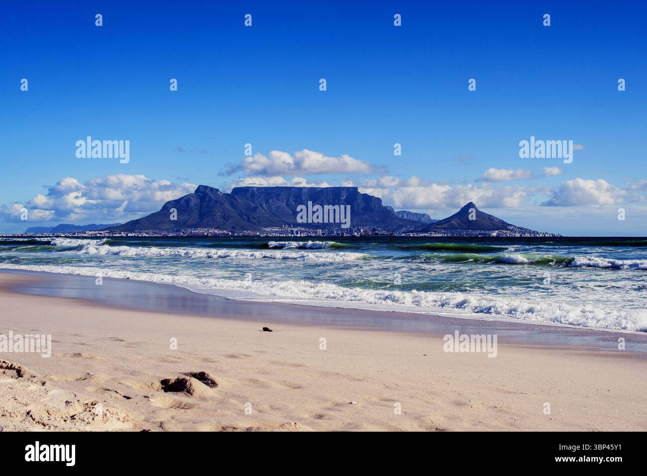 Incontro molto ravvicinato con i rinoceronti in Sudafrica Foto Stock