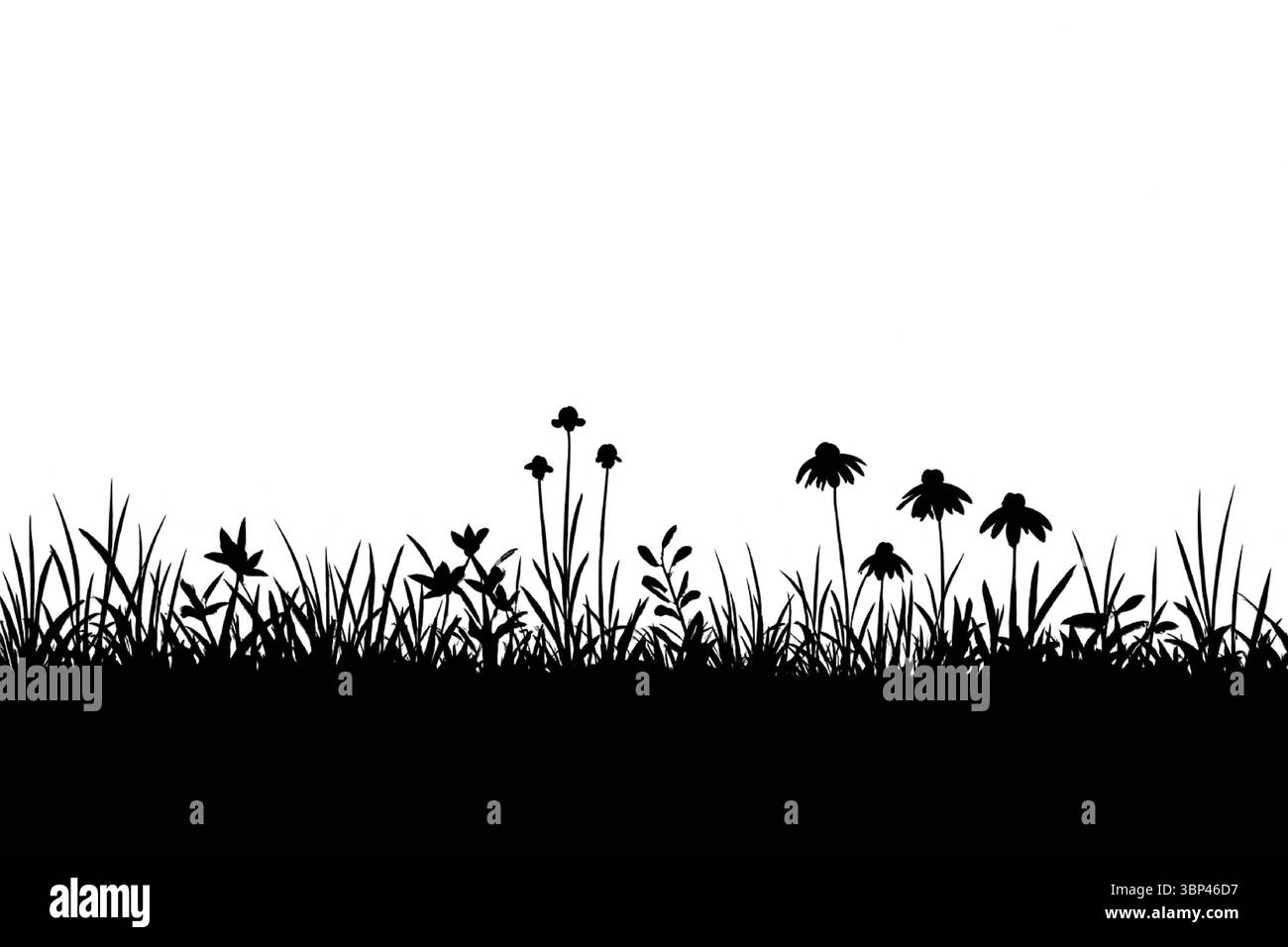 Silhouette Wildflower e Grass in Natural Meadow Composition Illustrazione Vettoriale