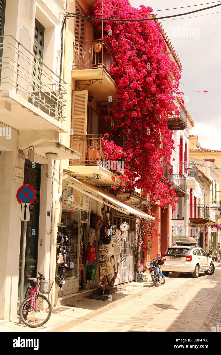 Una fotografia di una strada coperta di bouganville a Nauplio o Nauplio, una città costiera situata nel Peloponneso in Grecia. È la capitale dell'unità regionale dell'Argolide e un'importante destinazione turistica. Fondata nell'antichità, la città divenne un importante porto marittimo nel Medioevo durante la Frankokratia come parte della signoria di Argo e Nauplia, inizialmente detenuta dai de la Roche dopo la quarta crociata prima di passare sotto la Repubblica di Venezia e, infine, l'Impero ottomano. La città fu la seconda capitale della prima Repubblica ellenica e del Regno di Grecia, dal 1827 Foto Stock
