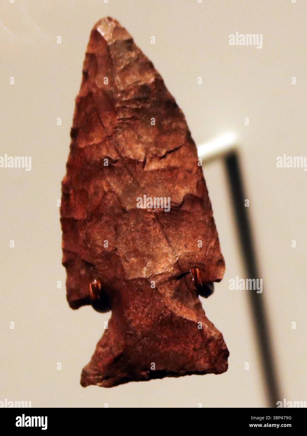 Una fotografia di una lancia da caccia nordamericana o coltello, 2900 a.C. -800 a.C. Trovato a New York, Staten Island. Foto Stock