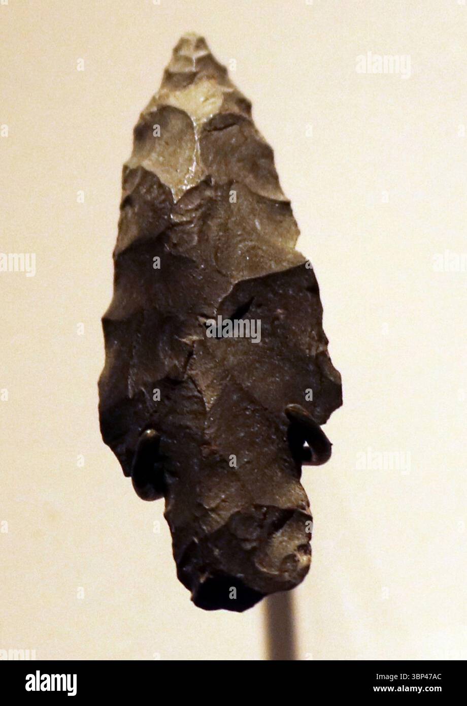Una fotografia di una lancia da caccia nordamericana o coltello, 2900 a.C. -800 a.C. Trovato a New York, Staten Island. Foto Stock