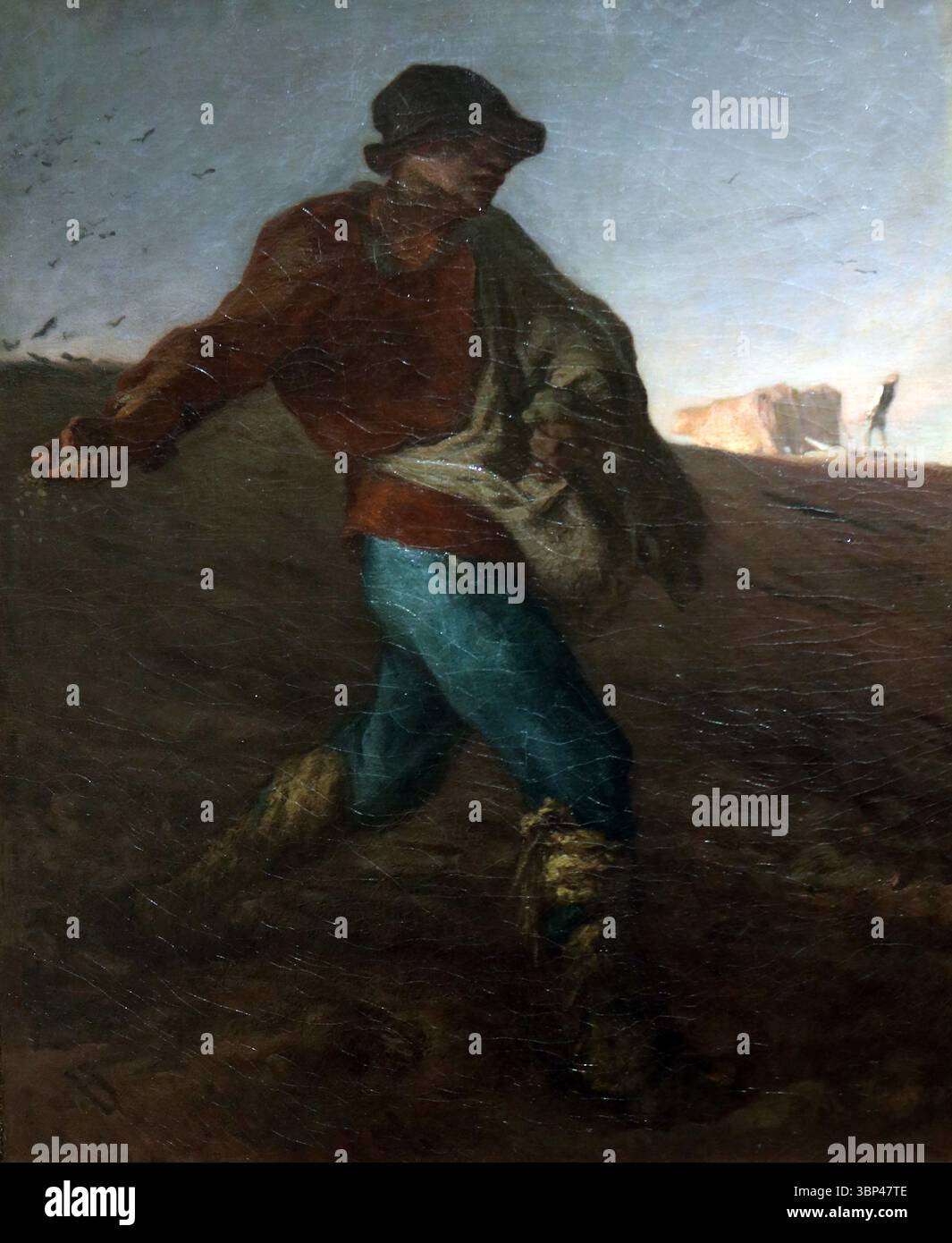 The Sower, di Jean-Fran'ois Millet (1814?1875). Jean-Fran'ois Millet era una figura di spicco della Scuola di Barbizon, un gruppo di artisti francesi che facevano parte del movimento realista, noto per le loro raffigurazioni della vita rurale e del lavoro contadino. "The Sower" è una delle sue opere più iconiche, che rappresenta la dignità e l'intramontabile del lavoro agricolo. 1850. Foto Stock