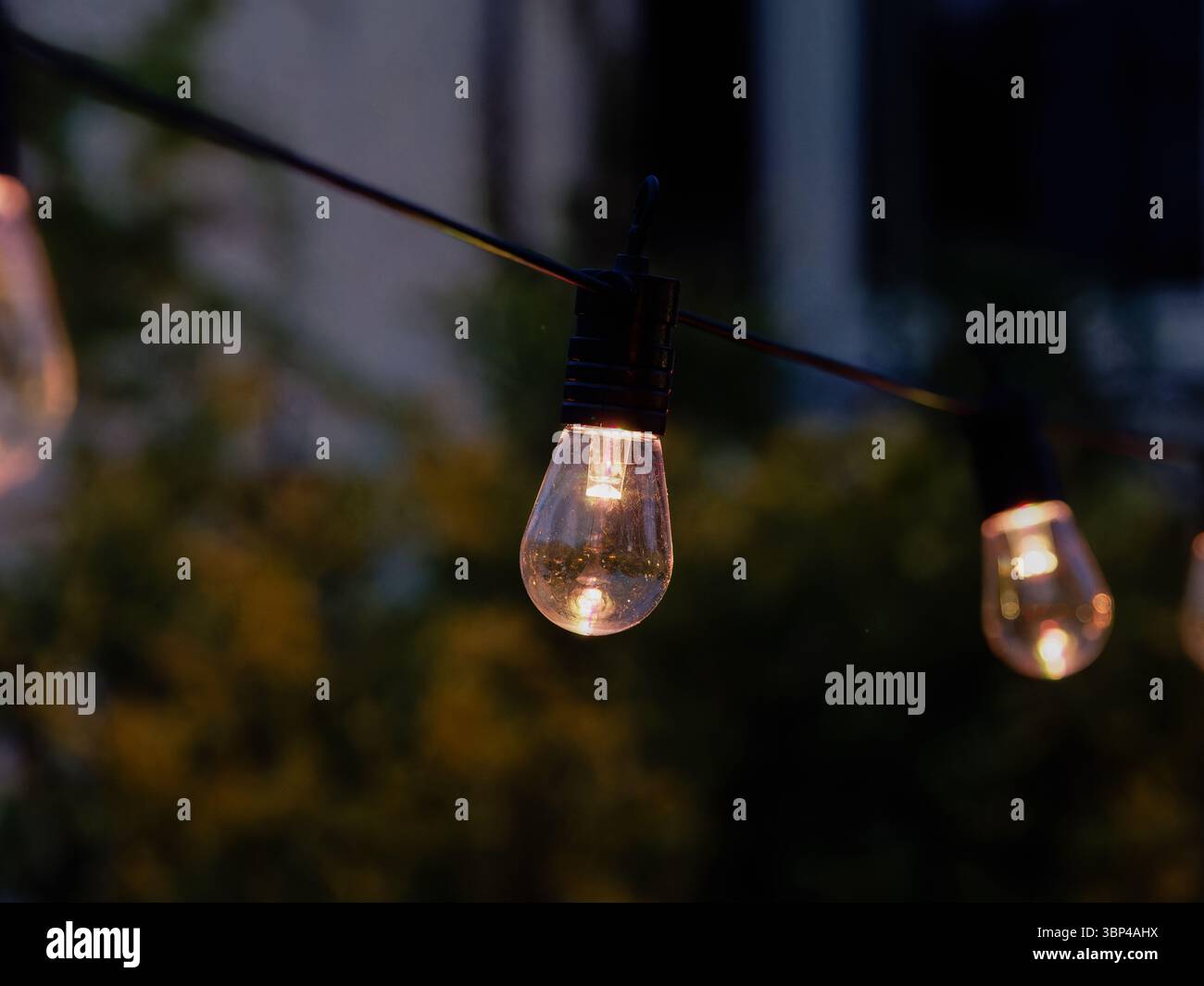 Una fila di luci a corda che illuminano un giardino al tramonto, creando un'atmosfera calda e accogliente per una serata all'aperto. Foto Stock
