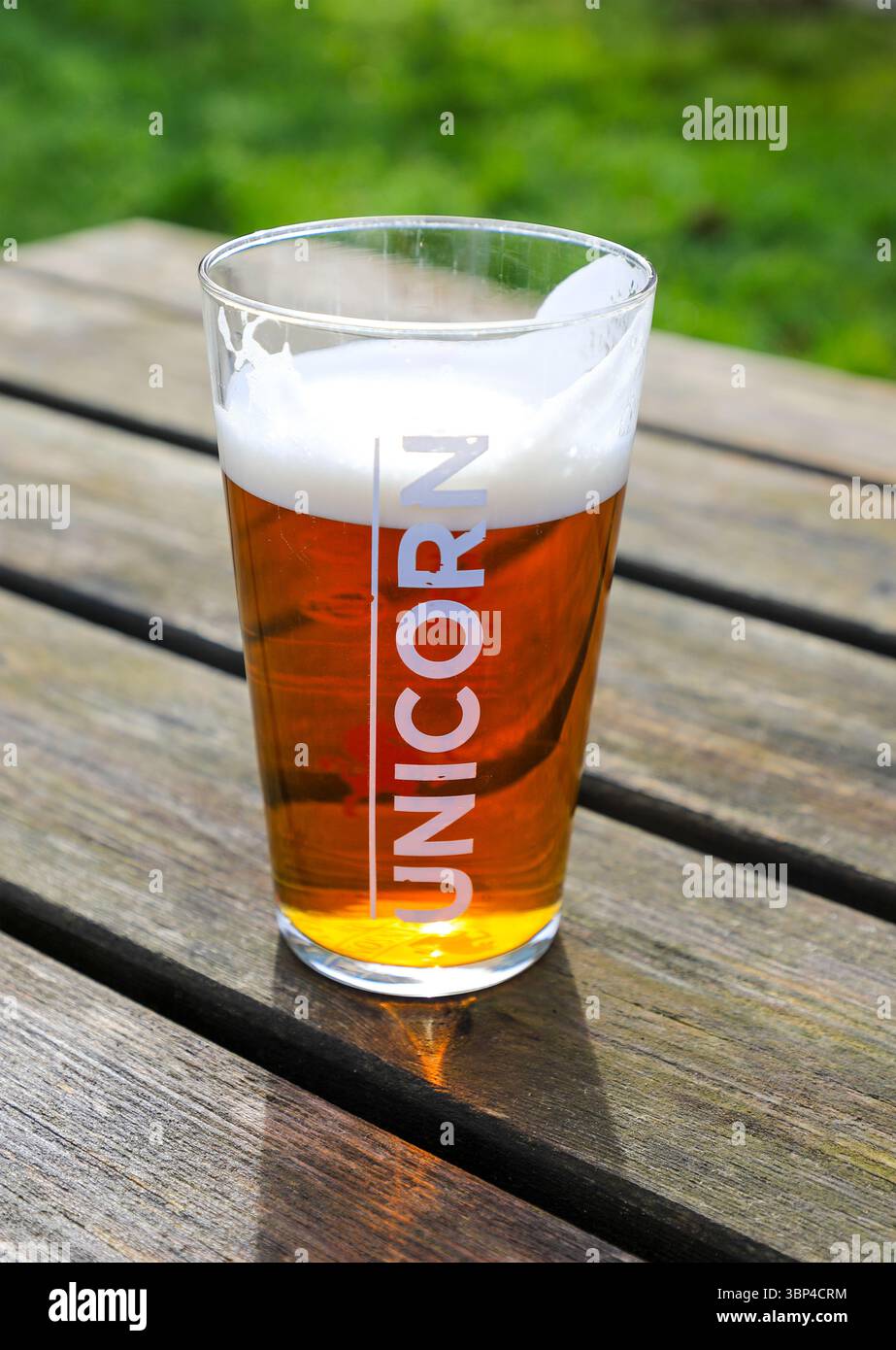 Una pinta di birra Unicorn, prodotta dalla Robinsons Brewery, su un tavolo di legno, Inghilterra, Regno Unito Foto Stock