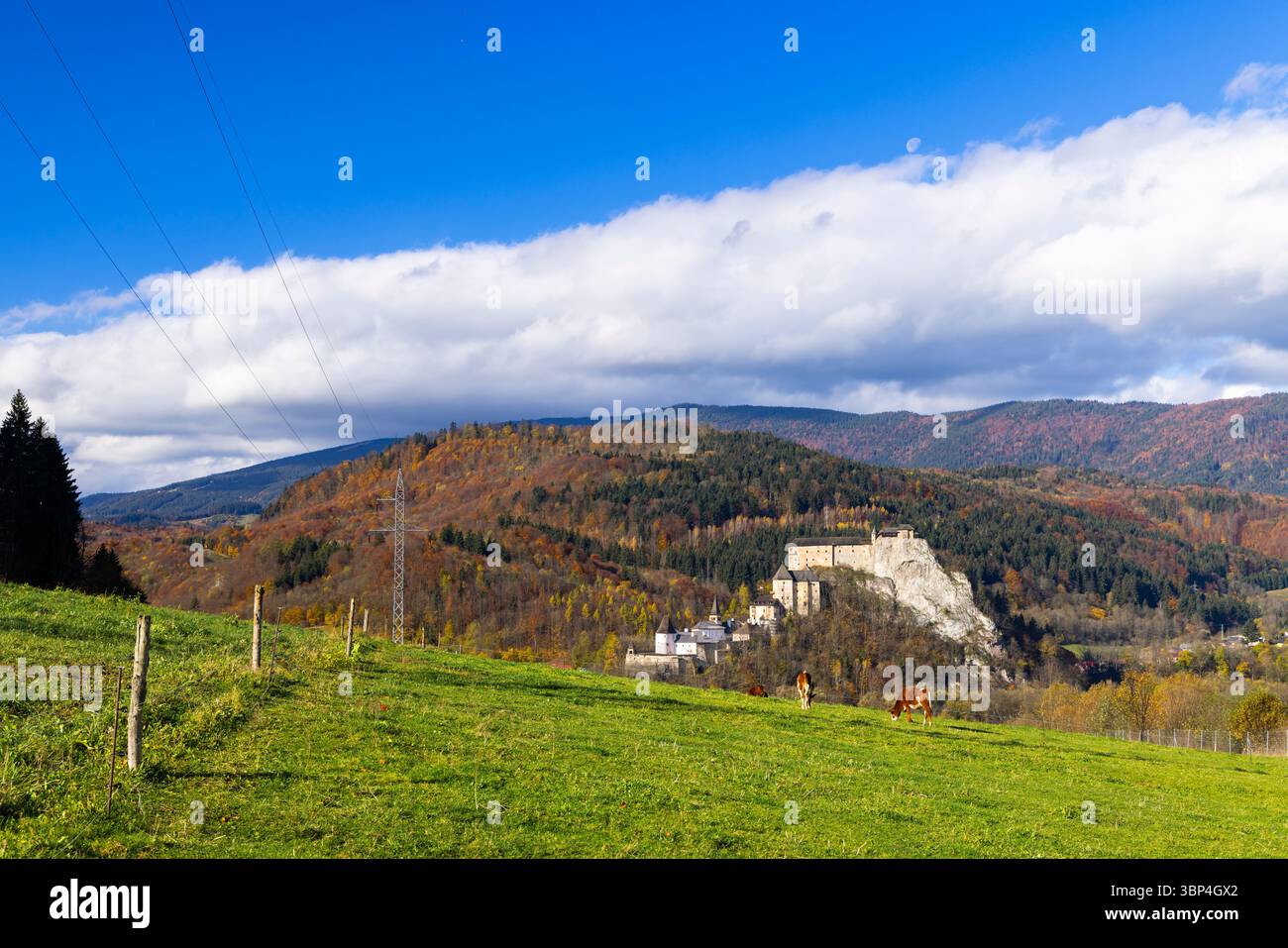 Vista panoramica del Castello di Bobolice, annidato nel fogliame autunnale, con mucche che pascolano pacificamente in primo piano sotto un cielo blu Foto Stock
