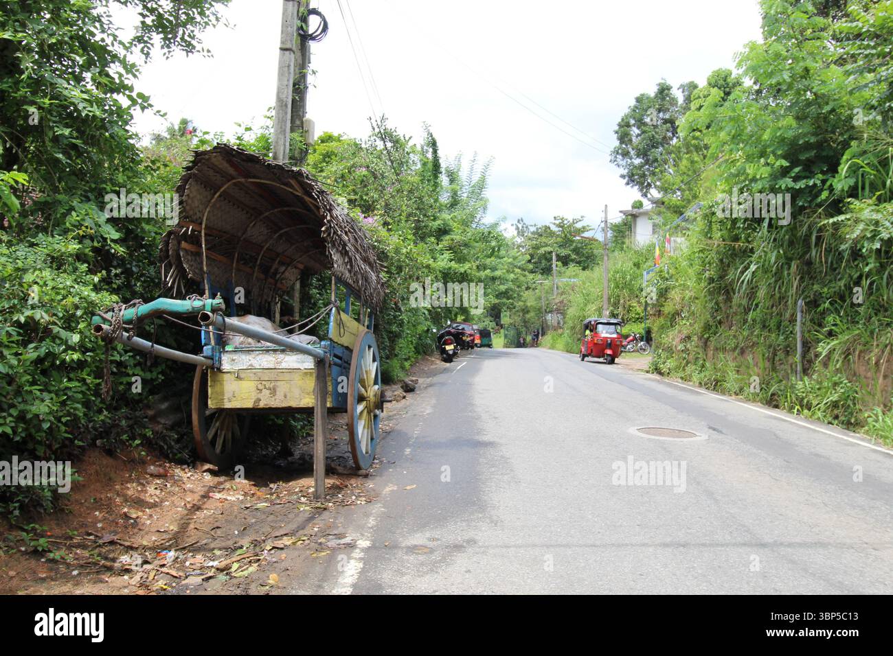 carrello delle mucche Foto Stock