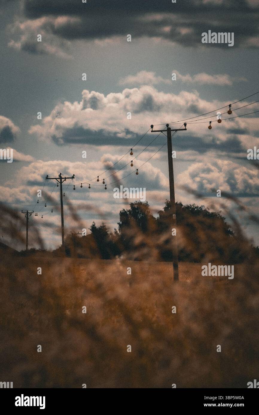 Linee elettriche in Farm Field Foto Stock