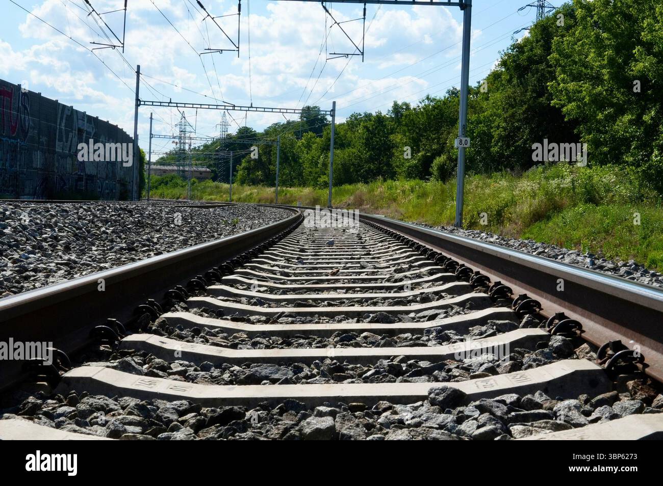 Ferrovia di campagna. Alberi intorno alla pista Foto Stock