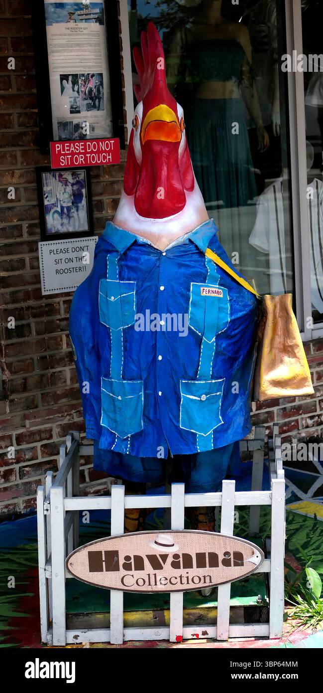 Rooster a Little Havana, Miami Foto Stock