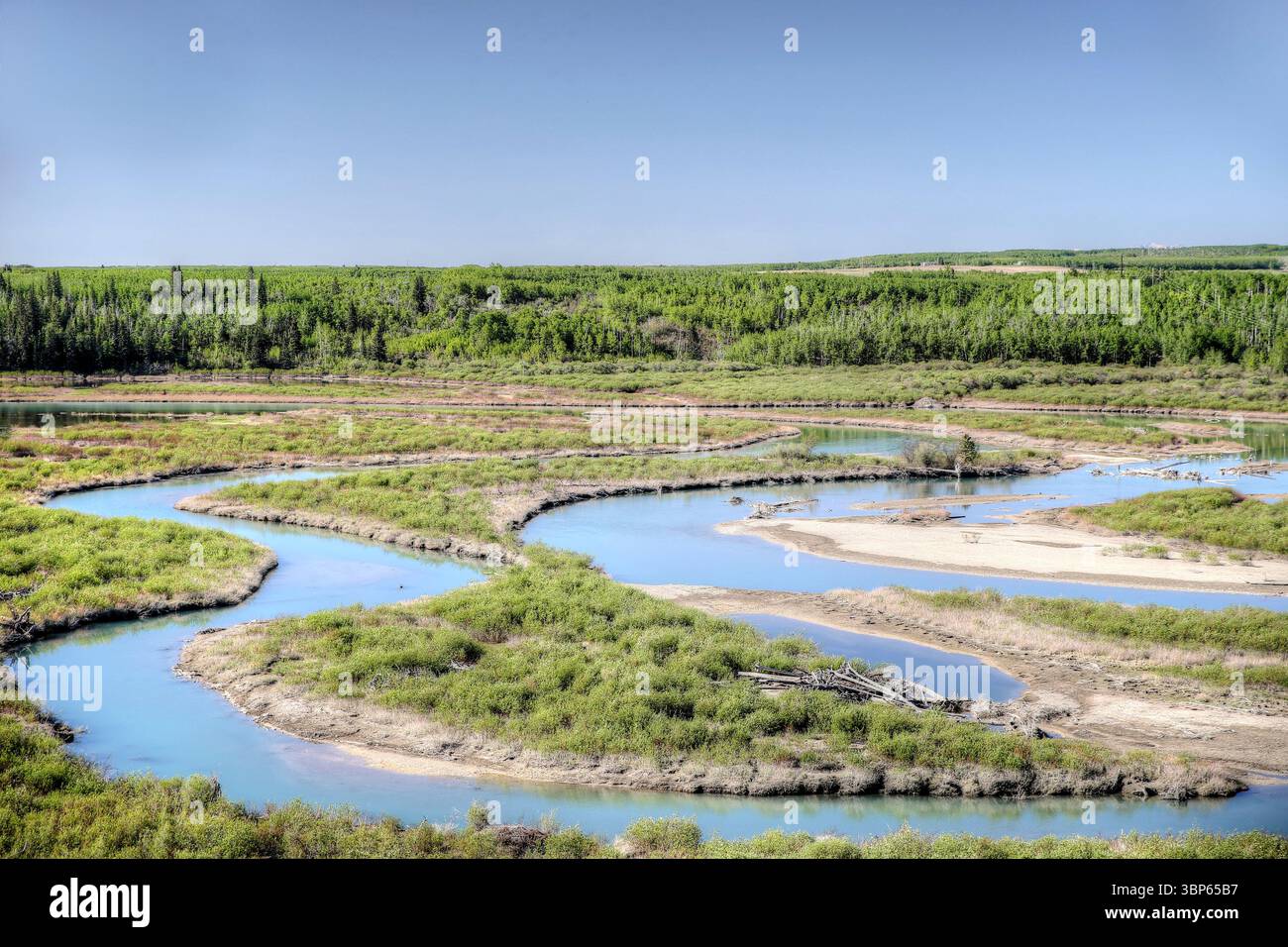 Viste lungo le Weaslehead Flats e il fiume Elbow a Calgary Foto Stock