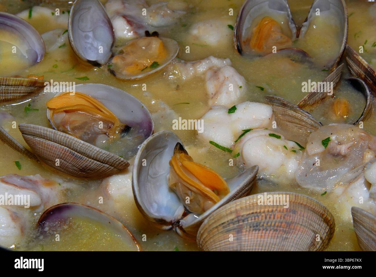 Stufato di monaca con vongole, gusto squisito con proteine di alto valore biologico, estremamente ricco di minerali e basso contenuto calorico Foto Stock