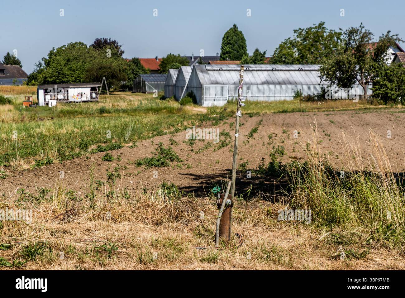 Terreni incolti e serre vuote caratterizzano un appezzamento agricolo su Tellerhofweg a Reichenau, in Baden-Württemberg, Germania, che non è più in uso. Sempre più aziende a conduzione familiare sull'isola rinunciano alla coltivazione di ortaggi. Un rubinetto per l'irrigazione si trova tra le aiuole coltivate, mentre un piccolo negozio di fattoria sullo sfondo suggerisce che i prodotti vengono ancora venduti direttamente al pubblico. Foto Stock