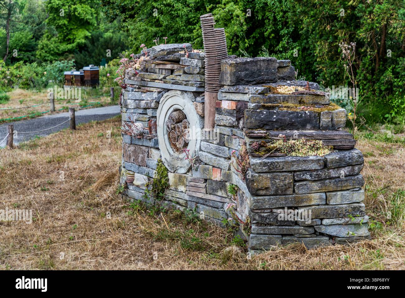Un muro d'insetti dal design artistico sull'isola di Mainau vicino a Costanza, Germania. La struttura è costituita da una miscela di pietre naturali, dischi di legno con fori trapanati e vecchi mattoni. Fornisce un habitat per varie specie di insetti. Gli houseleek fioriti (Sempervivum) crescono in cima, completando il design ecologico. Sullo sfondo si possono vedere alveari e un sentiero del giardino. Costanza, Baden-Württemberg, Germania Foto Stock