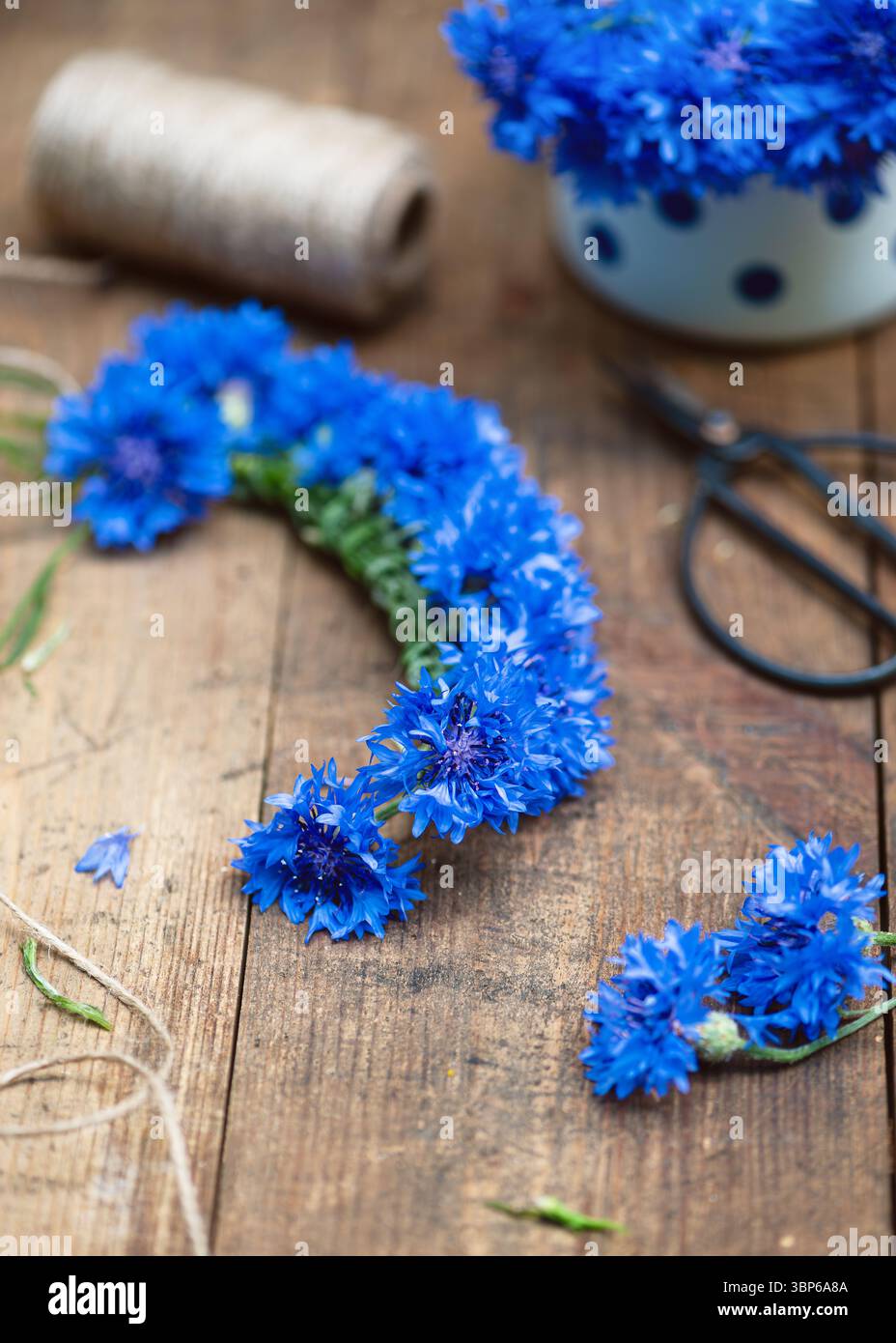 Creazione di una corona di fiori da fiori di corno blu (Centaurea cyanus). Artigianato artigianale con fiori. Messa a fuoco selettiva. Foto Stock