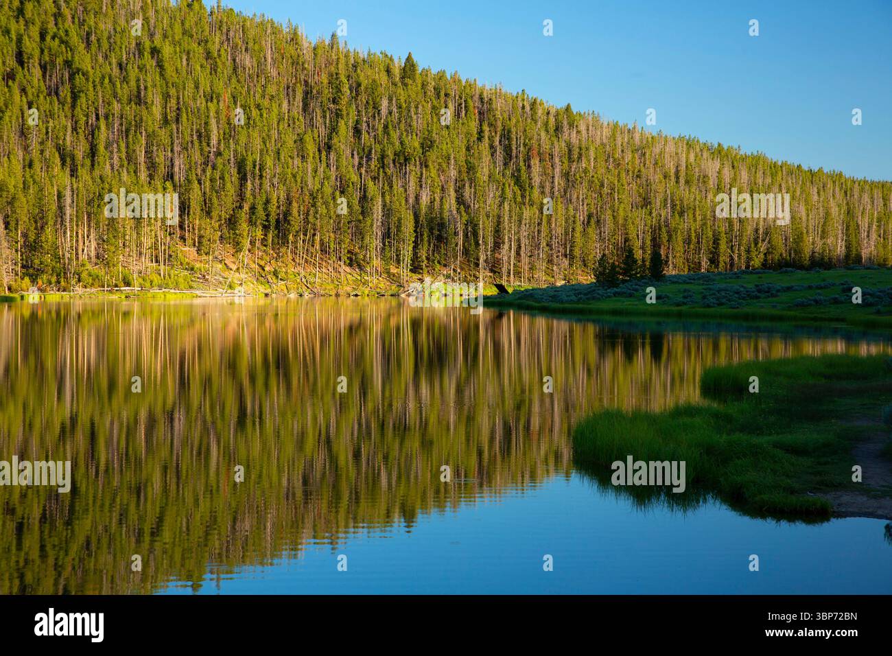 Maney Lake, Beaverhead-Deerlodge National Forest, Montana Foto Stock