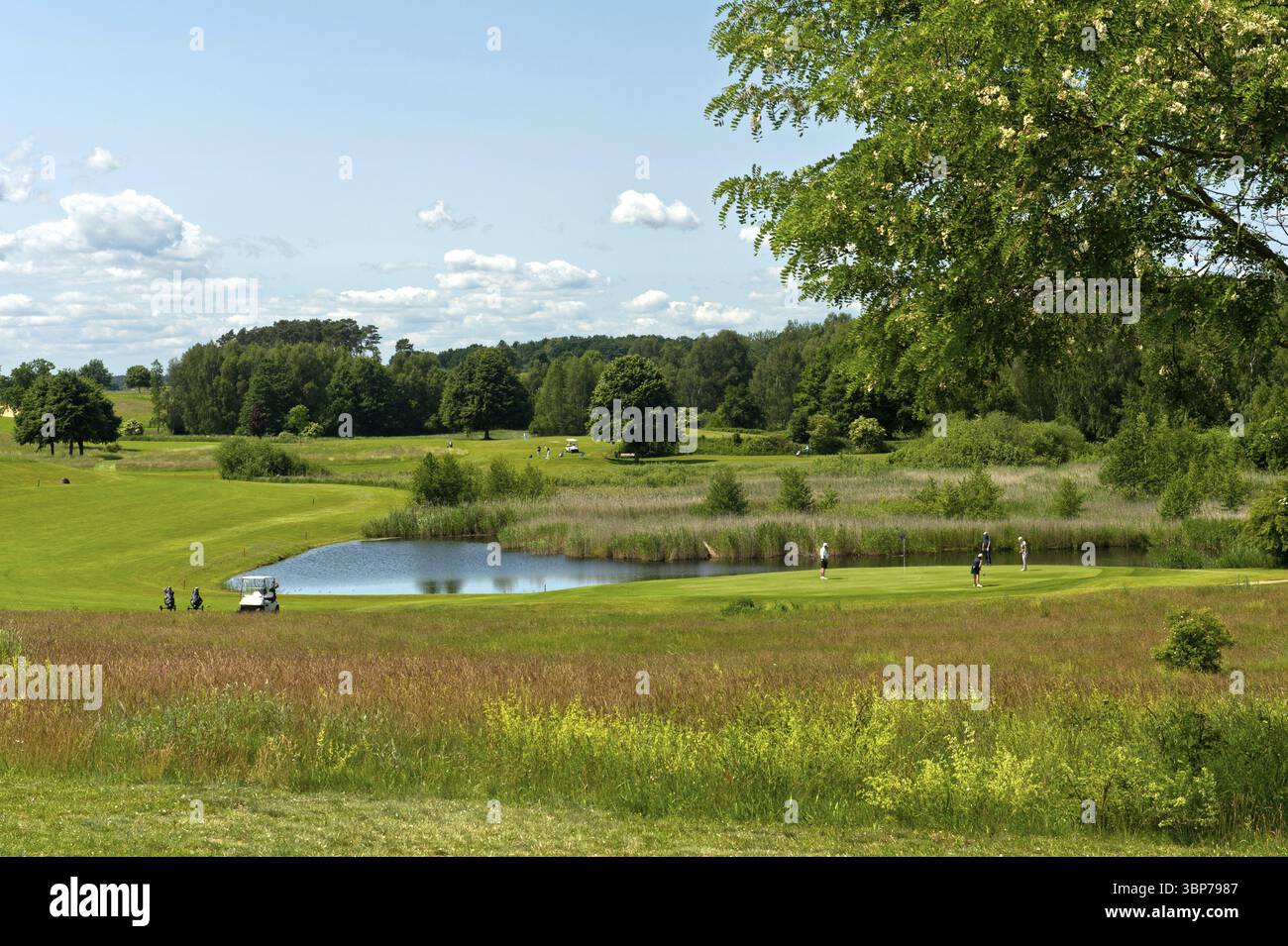 Campo da golf presso Golfhotel Balmer SEE Hotel-Golf-Spa, Balm, Isola di Usedom, Meclemburgo-Pomerania Occidentale, Germania, Europa Foto Stock