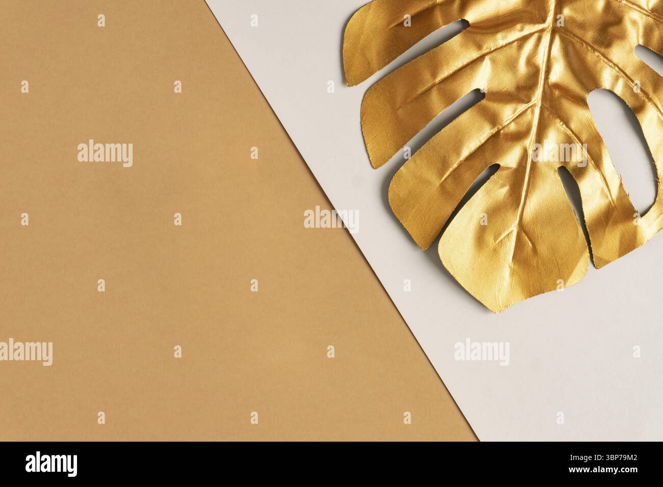 Tendenza esotica estiva in stile minimal. Foglia di monstera di palma tropicale dorata su sfondo a doppio colore. Design brillante e brillante, concetto di moda Foto Stock