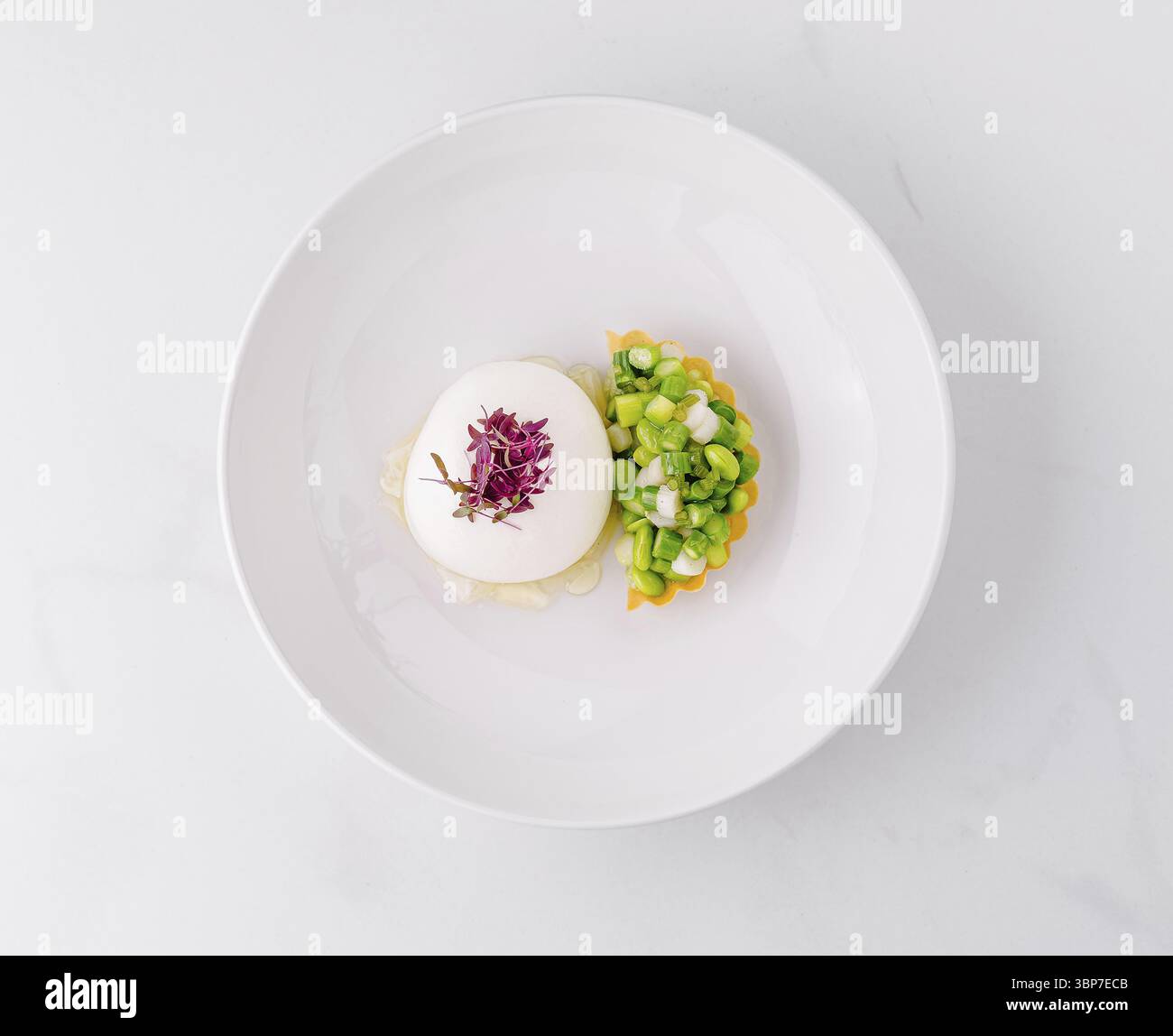 Cibo, antipasto gourmet servito su un piatto bianco, con una mousse cremosa e una tartetta di verdure fresche Foto Stock