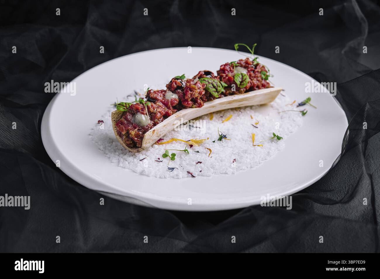 Cibo, squisita tartare di manzo su piatto Foto Stock