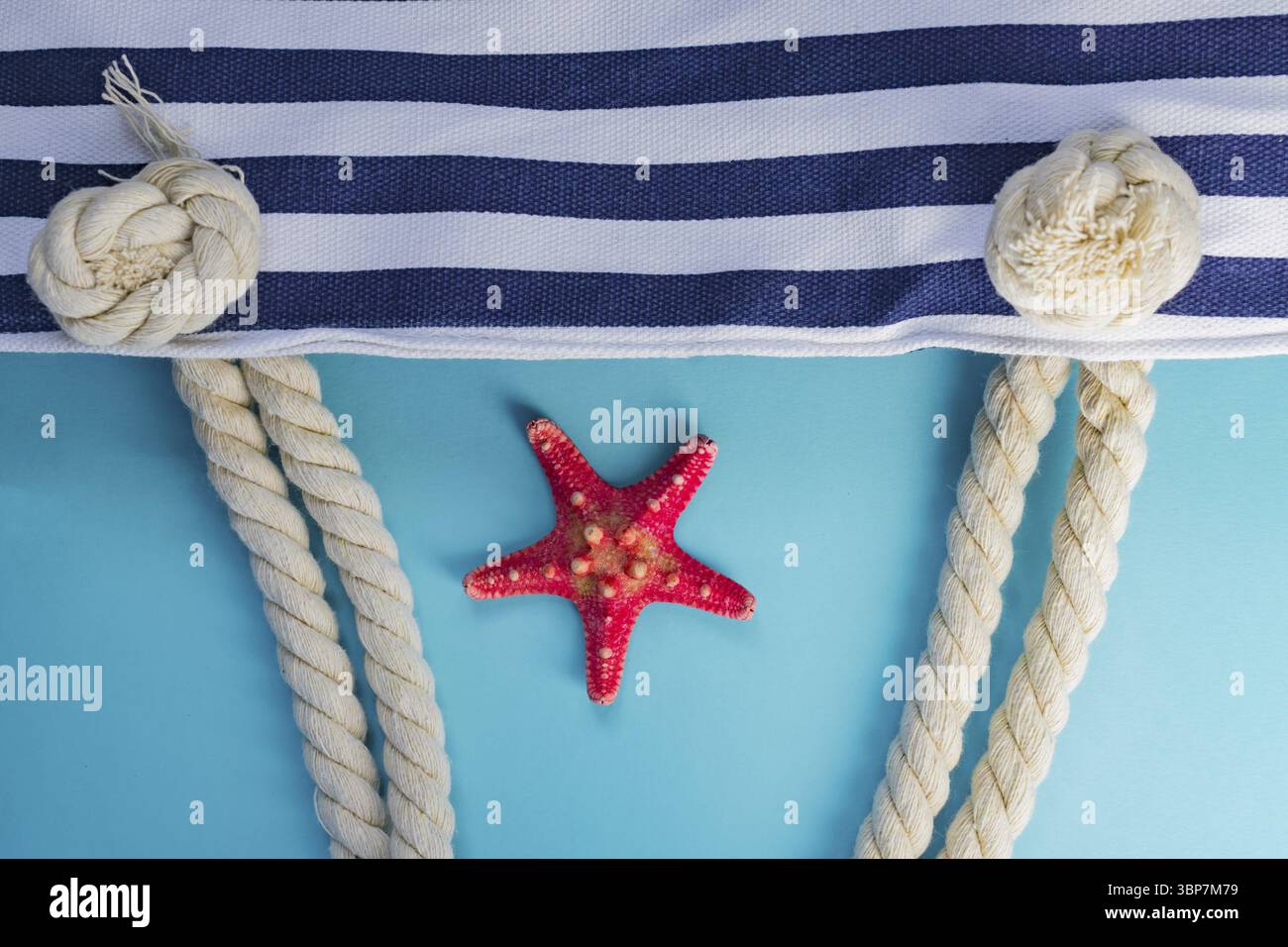 Conchiglie, marchette e borsetta in tessuto con nodi di corda su sfondo azzurro. Concetto di vacanza estiva Foto Stock