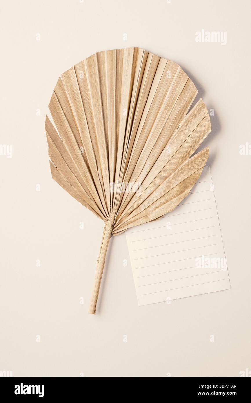 Scheda vuota sulla vista dall'alto della foglia di palma beige asciutta, mockup. Scena boho. Vicino al saluto naturale o all'invito verticale per matrimoni. Composizione minima Foto Stock