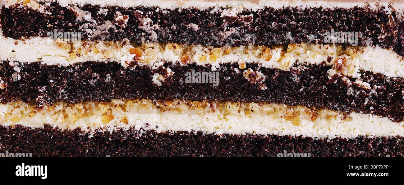 Cibo, Una ricca torta a strati di cioccolato mostra più strati di glassa cremosa e pezzi di noci croccanti. La torta è tagliata ad arte, rivelalin Foto Stock