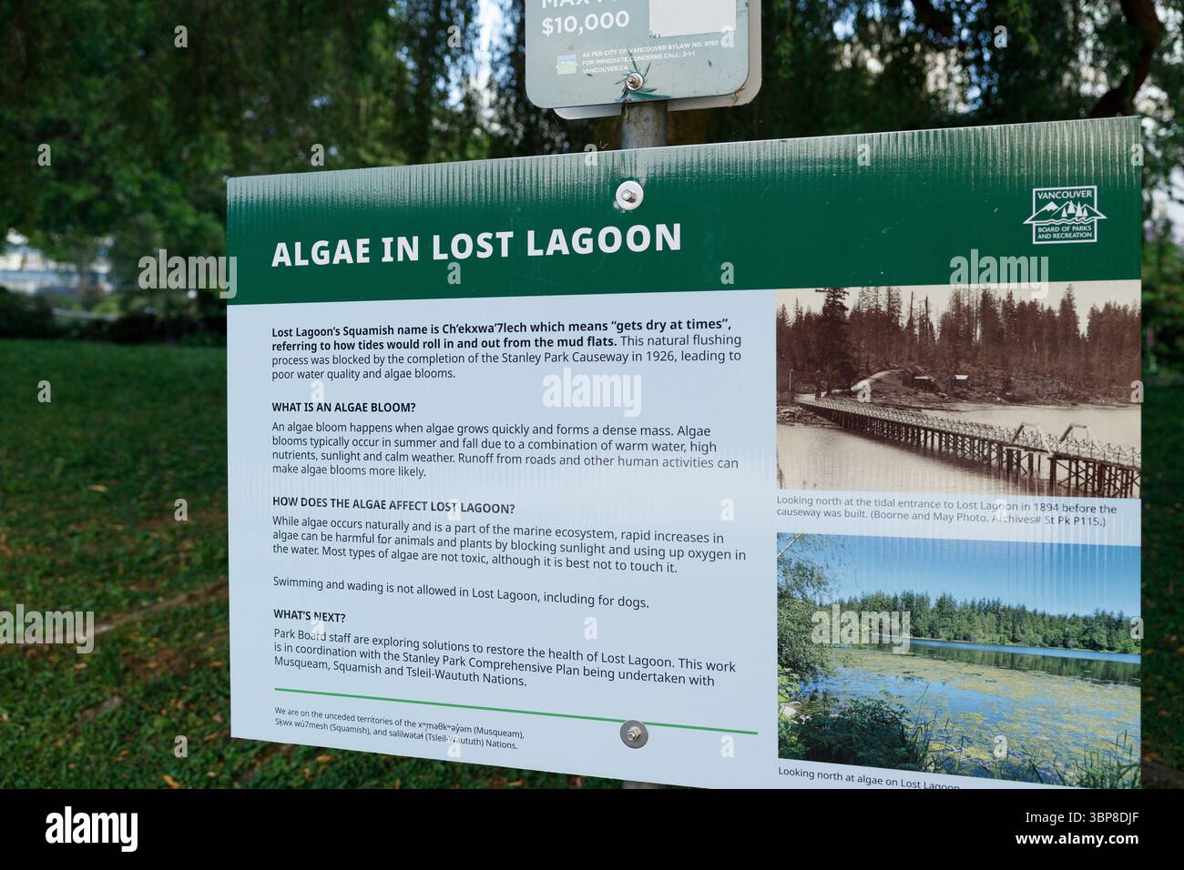 Cartellone informativo sulla fioritura delle alghe presso la Lost Lagoon, con testo e foto storiche, illustra l'impatto ecologico e gli sforzi di restauro Foto Stock