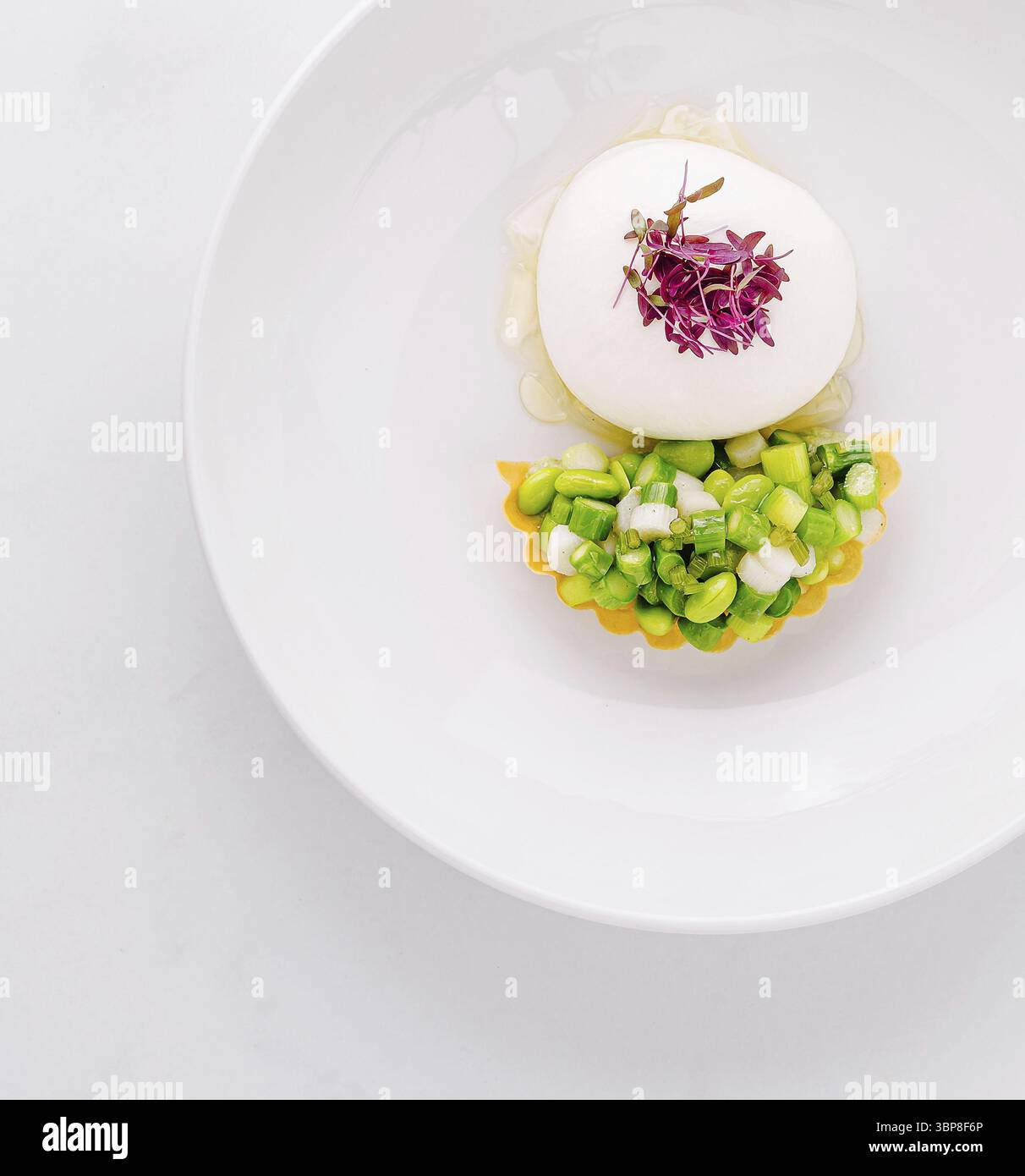 Cibo, antipasto gourmet servito su un piatto bianco, con una mousse cremosa e una tartetta di verdure fresche Foto Stock