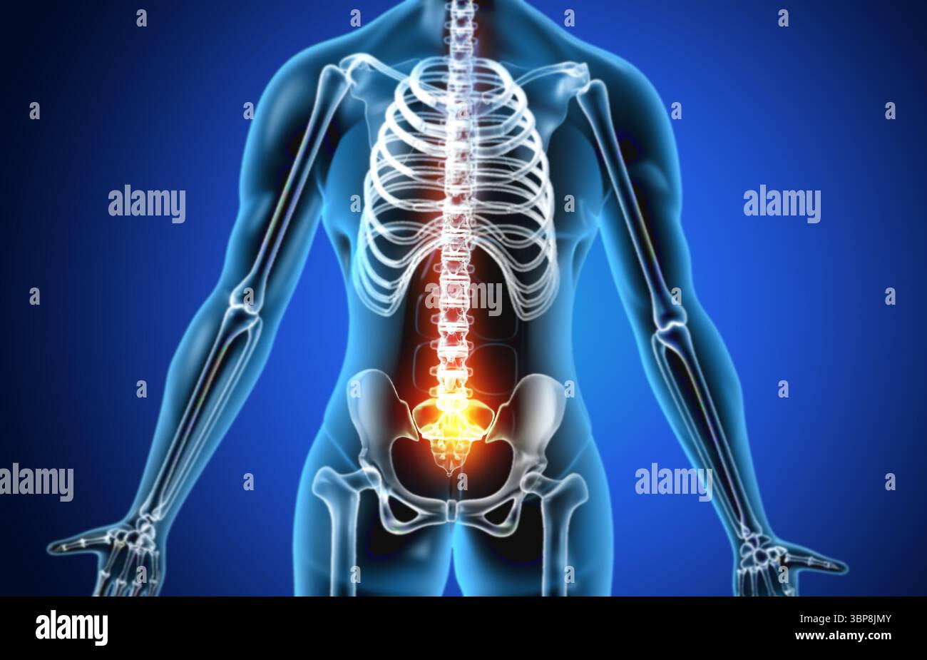 Anatomia del corpo umano con dolore all'anca. illustrazione 3d. Foto Stock
