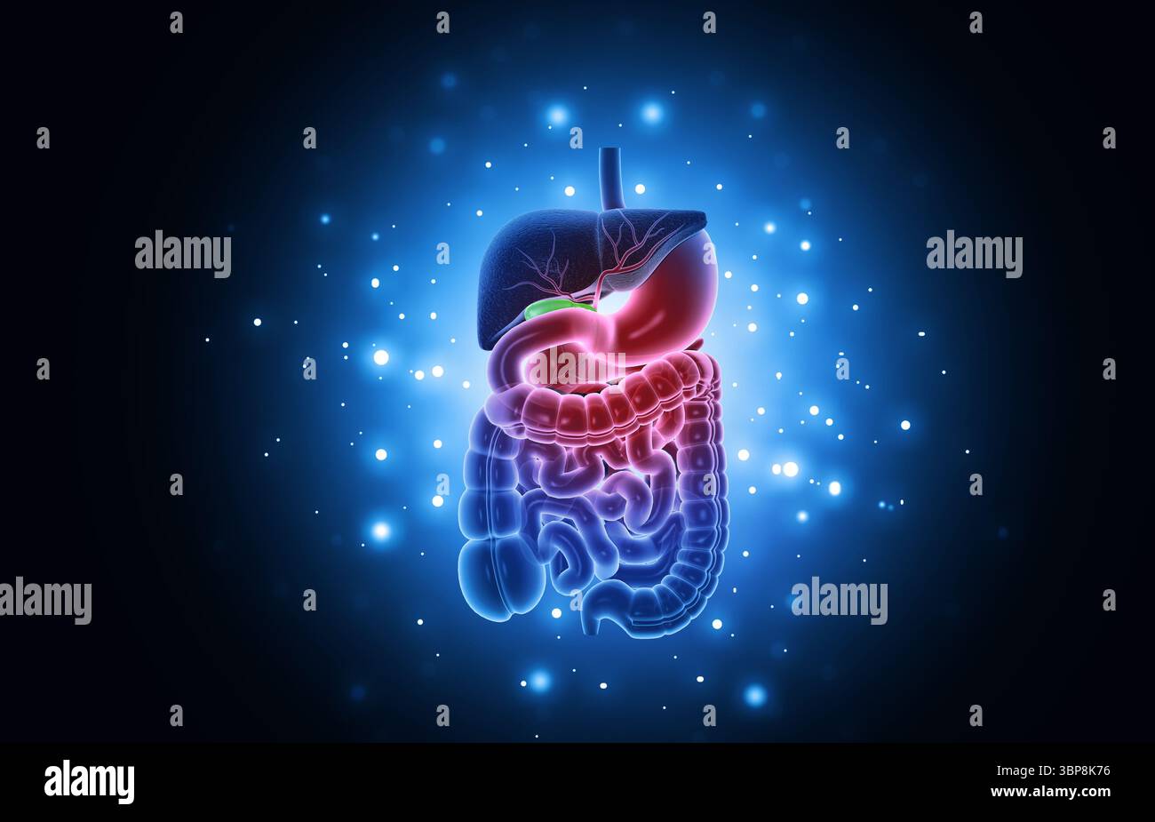 Background scientifico del sistema digerente umano. illustrazione 3d. Foto Stock