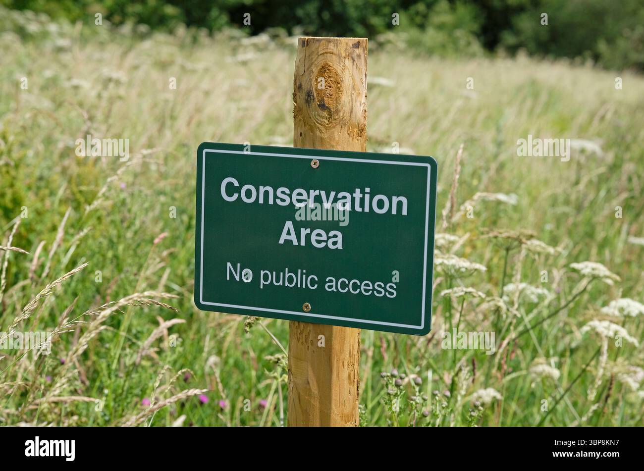 area protetta senza segnale di accesso pubblico, nord norfolk, inghilterra Foto Stock