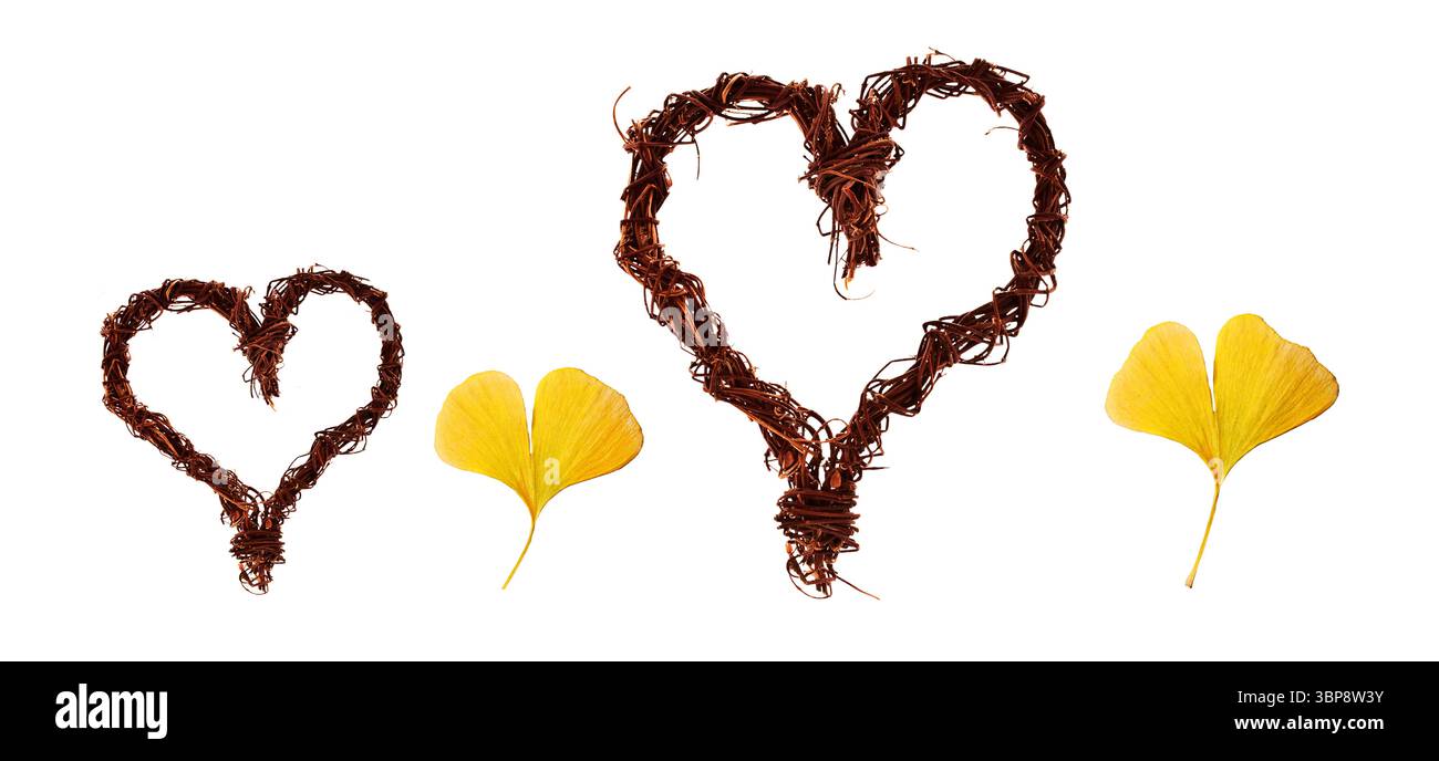 Set di rami di legno e cuori di foglie, ornamenti naturali rustici d'amore, San Valentino ecologico isolato su sfondo bianco Foto Stock