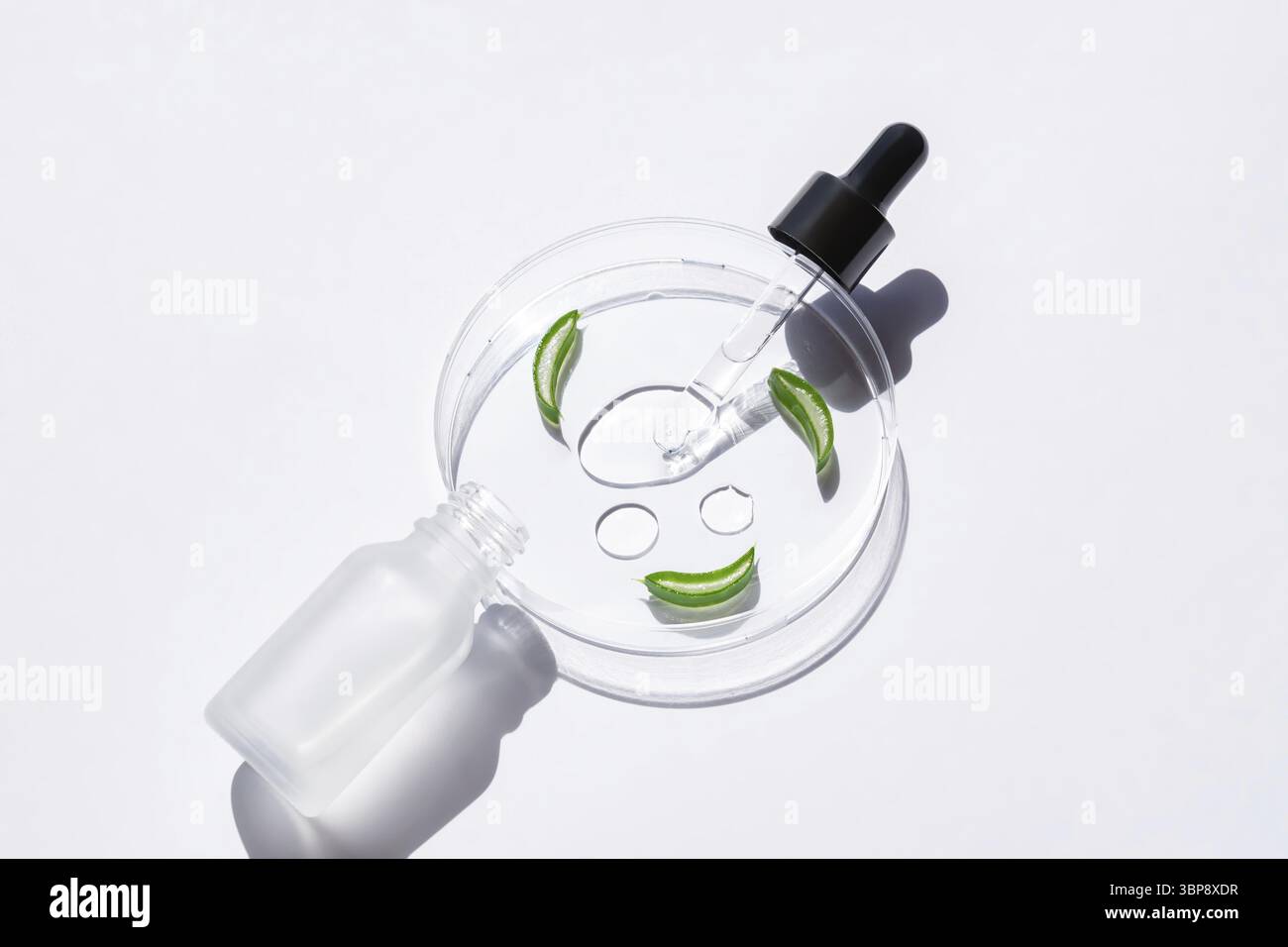 Concetto di cura della pelle. Gel di aloe vera con foglie in piastra Petri su sfondo bianco, vista dall'alto con spazio copiato. Test e ricerca eco-biologici di cometica Foto Stock