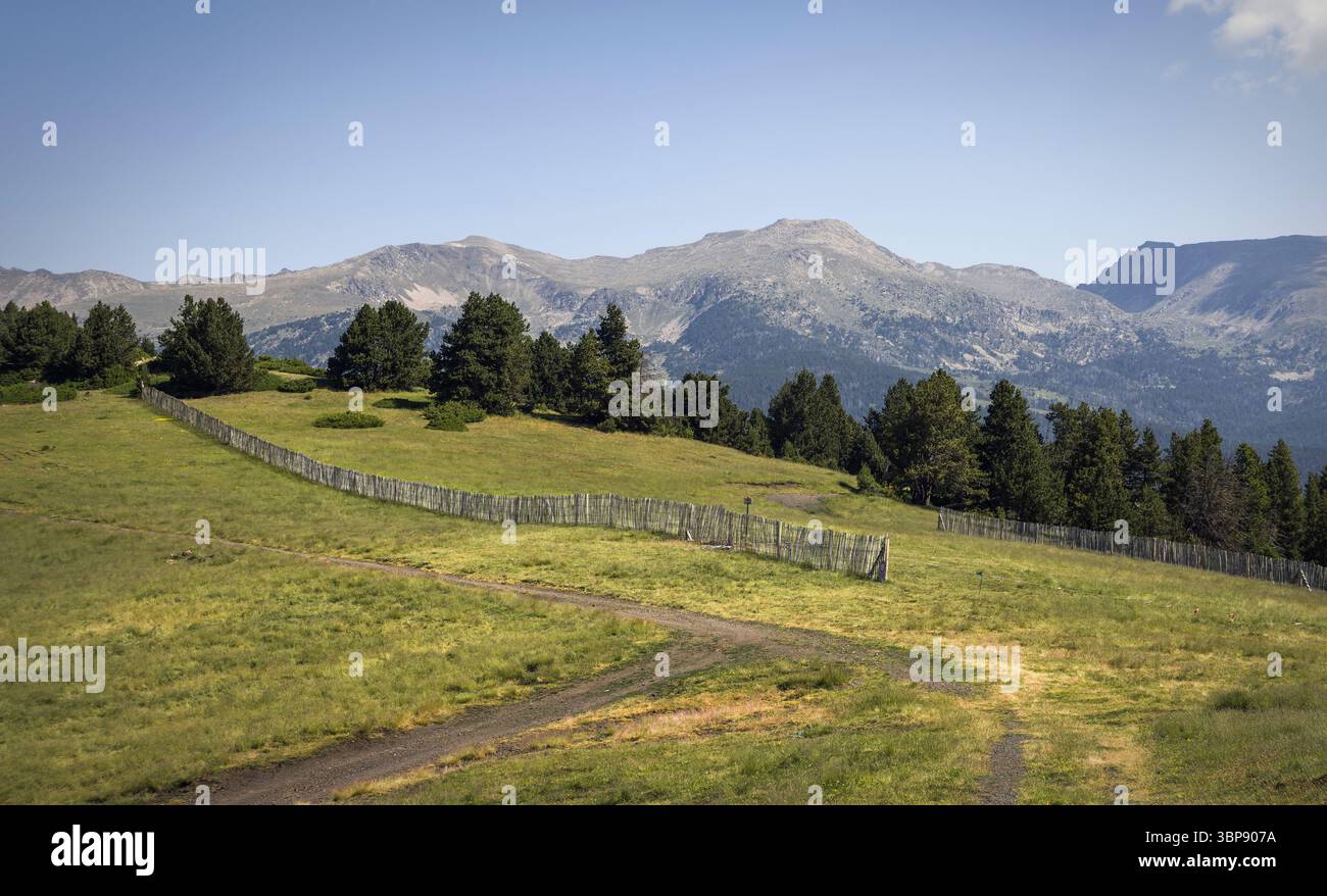 La vista mozzafiato delle colline di Cerdanya, la vegetazione lussureggiante e le splendide montagne sotto un cielo blu mostrano la bellezza della natura, la Catalogna Foto Stock