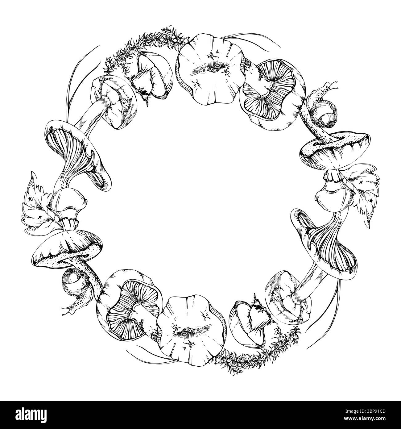 Bolete cep russula suillus fungo con foglie ramoscelli aghi di pino. telaio per ghirlanda di funghi disegnato a mano con inchiostro vettoriale. Raccolta della foresta autunnale, cucina vegana Illustrazione Vettoriale
