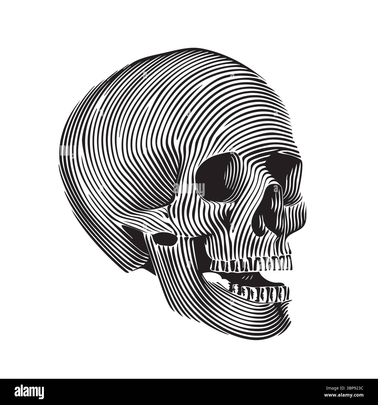 Cranio umano monocromatico vintage isolato su sfondo bianco. modello elemento di design per emblema, stampa, copertina, poster. Illustrazione vettoriale. Illustrazione Vettoriale