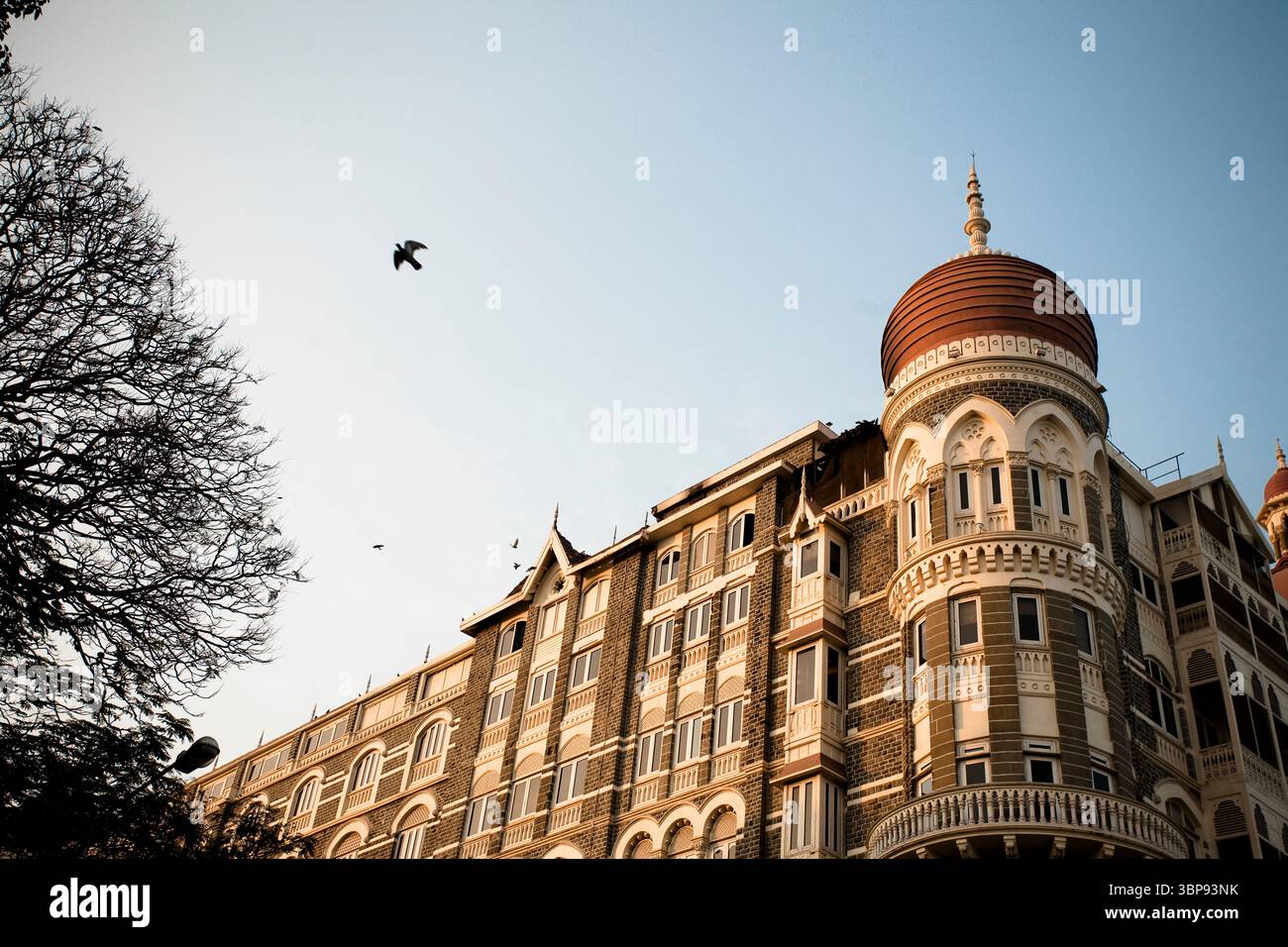 I piccioni volano dalla cima del Taj Hotel, dove i terroristi gli hanno dato fuoco. Foto Stock