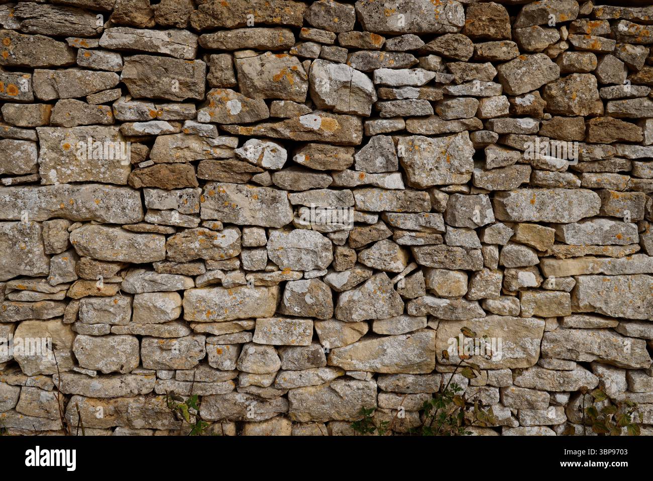 Il muro di pietra a secco del Cotswold, vicino a Winchcombe, nel Gloucestershire. - 5 luglio 2025 foto di Andrew Higgins/Thousand Word Media Ltd Foto Stock