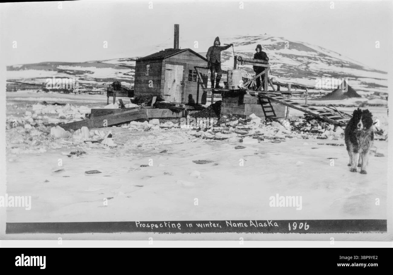 I cani hanno svolto un ruolo vitale nella vita quotidiana a nome, Alaska, intorno al 1906-1907, servendo come principale mezzo di trasporto invernale attraverso l'aspro e remoto paesaggio artico. Nome, una città in piena espansione della corsa all'oro all'epoca, si affidava molto alle squadre di cani da slitta per trasportare rifornimenti, posta e persone tra campi minerari, villaggi e costa, soprattutto quando ghiaccio e neve rendevano impossibile altri viaggi. Foto Stock