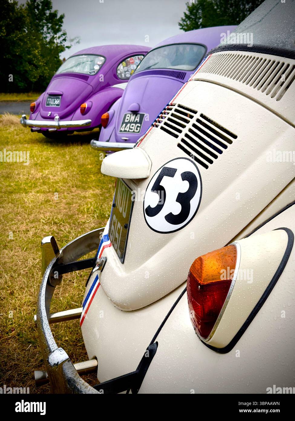 Tre Maggiolini Volkswagen d'epoca parcheggiati in fila sull'erba, che mostrano il design iconico di un'auto classica e colori vivaci - Immagine stock catturata con smartphone