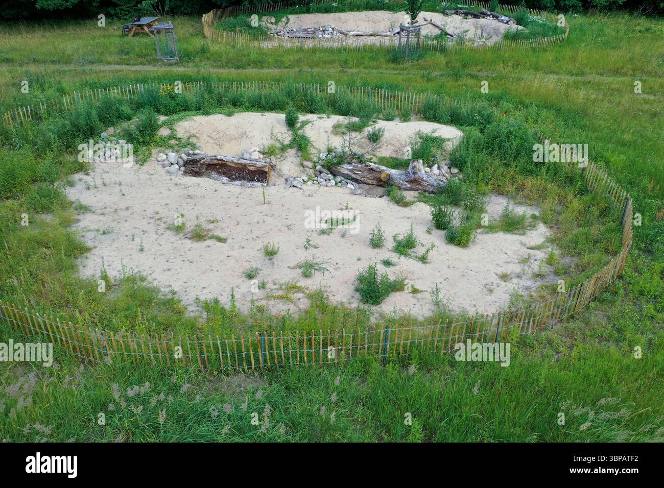 Sandbiotop, Sandbiotope, Lebensraum für Zauneidechse und sandlebende Tiere und Pflanzen durch Schaffung von Steinhaufen, Legesteinhaufen und Totholz, Foto Stock
