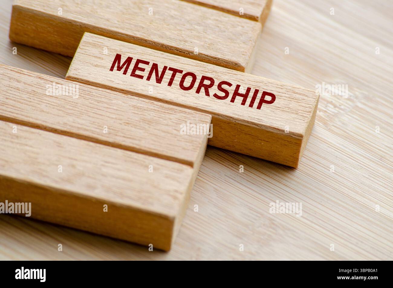 Mentorship Word sui blocchi di legno, catturando il valore fondamentale di guidare gli altri attraverso l'esperienza, la cura e la saggezza nella crescita personale o professionale. Foto Stock