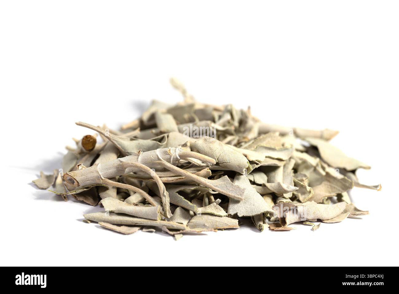 Salvia bianca essiccata su sfondo bianco Foto Stock