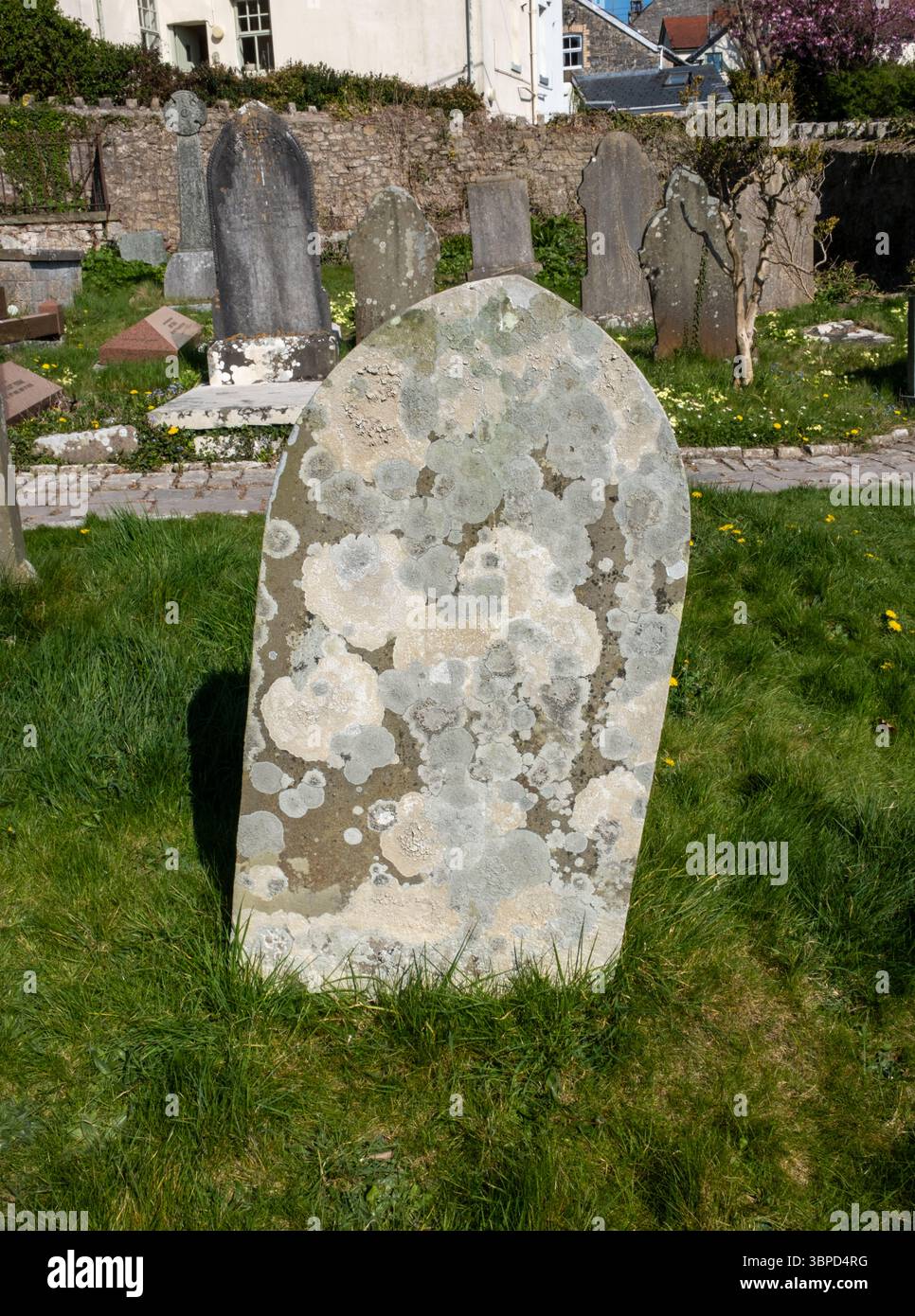 St Illtuds Church a Llantwit Major Glamorgan Galles del Sud Regno Unito Foto Stock