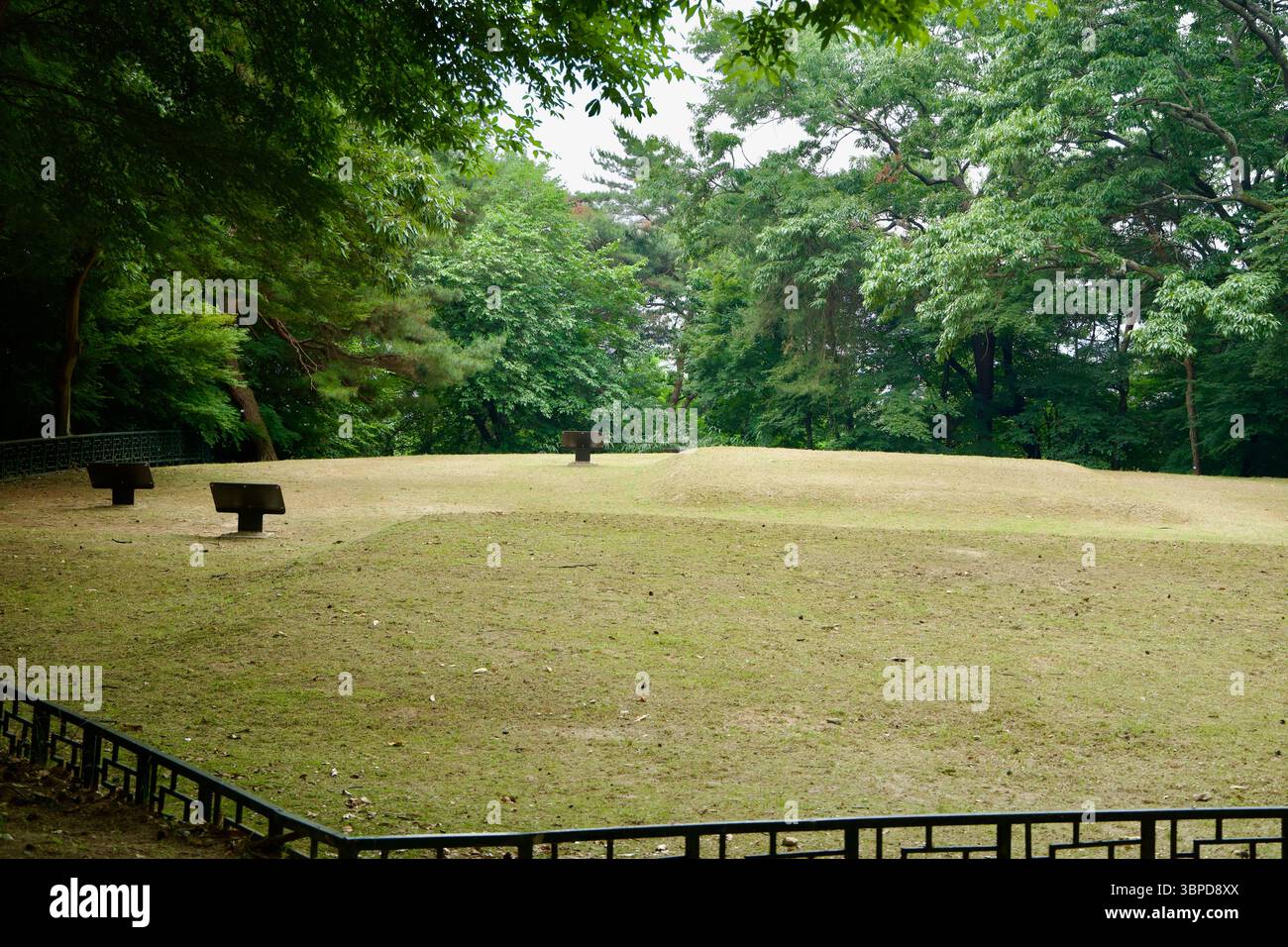 Contea di Buyeo, Corea del Sud - 13 giugno 2025: Bassi tumuli erbosi si si trovano pacificamente all'interno dei boschi della Fortezza di Busosanseong, marchio reale Foto Stock